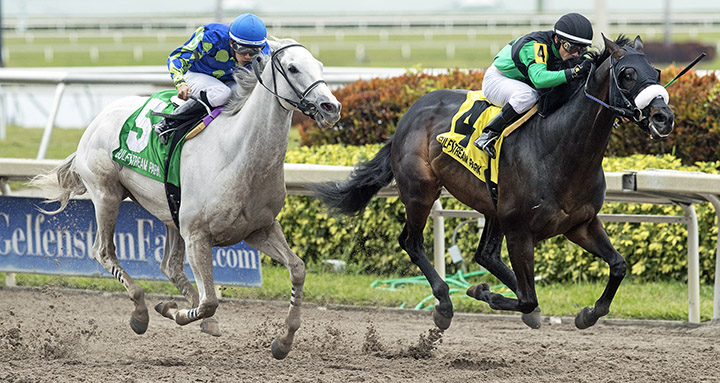 Jay-s Way wins the Sunshine Millions Classic