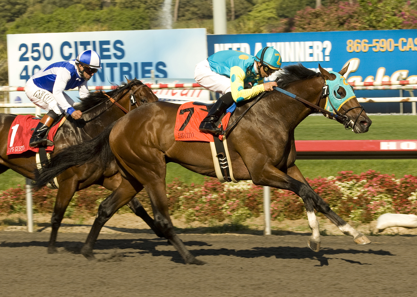 Santa Anita Derby looking crowded
