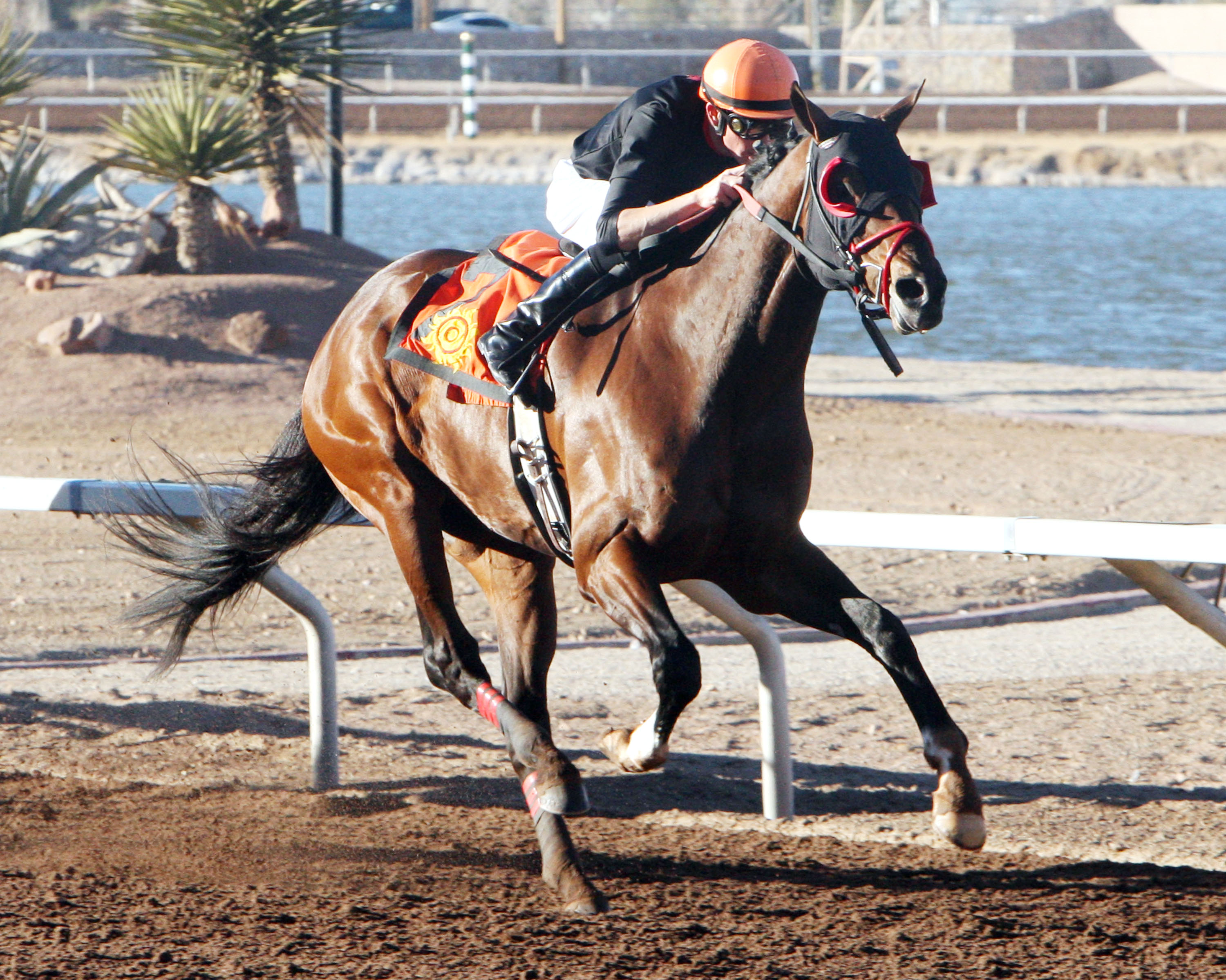 Jaycito from Feb. 9