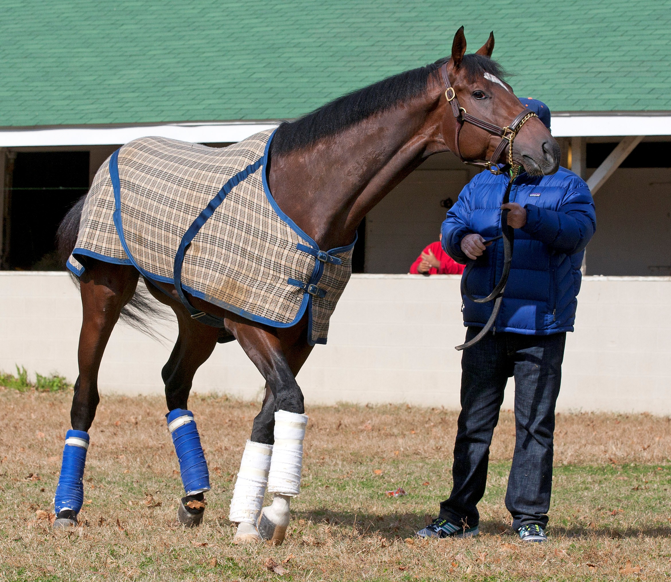 Jaycito, November 2010