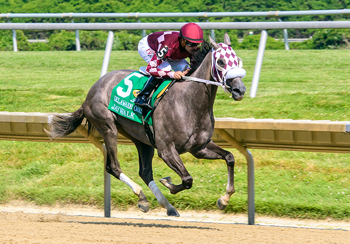 Jaywalk wins the 2019 Delaware Oaks at Delaware Park