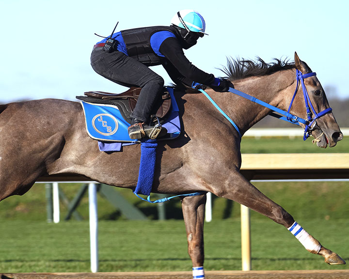 Jaywalk trains at Keeneland on March 31