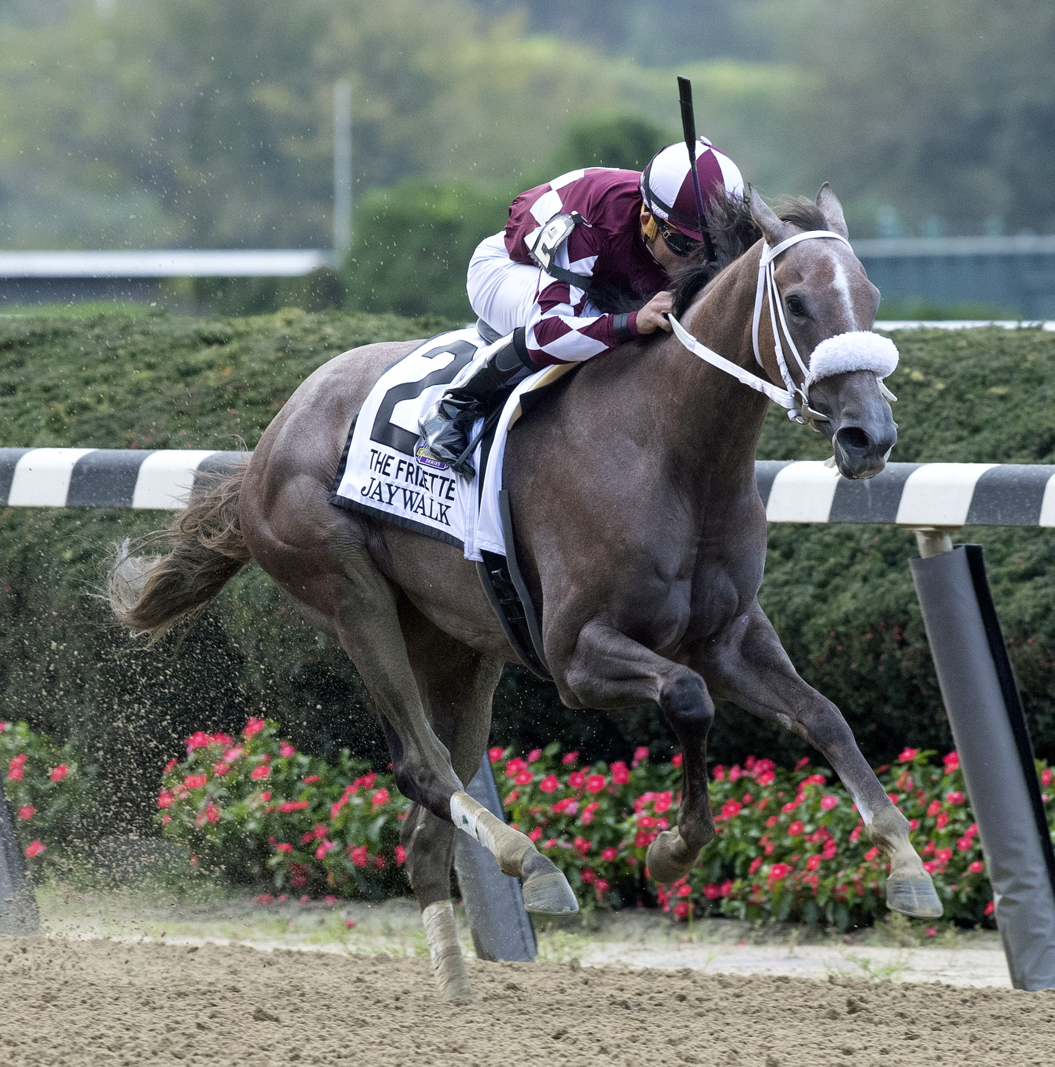 Jaywalk wins 2018 Frizette