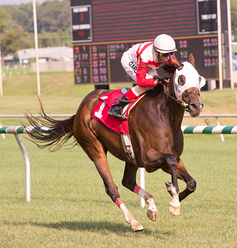 Jazzy Idea 9-5-2012