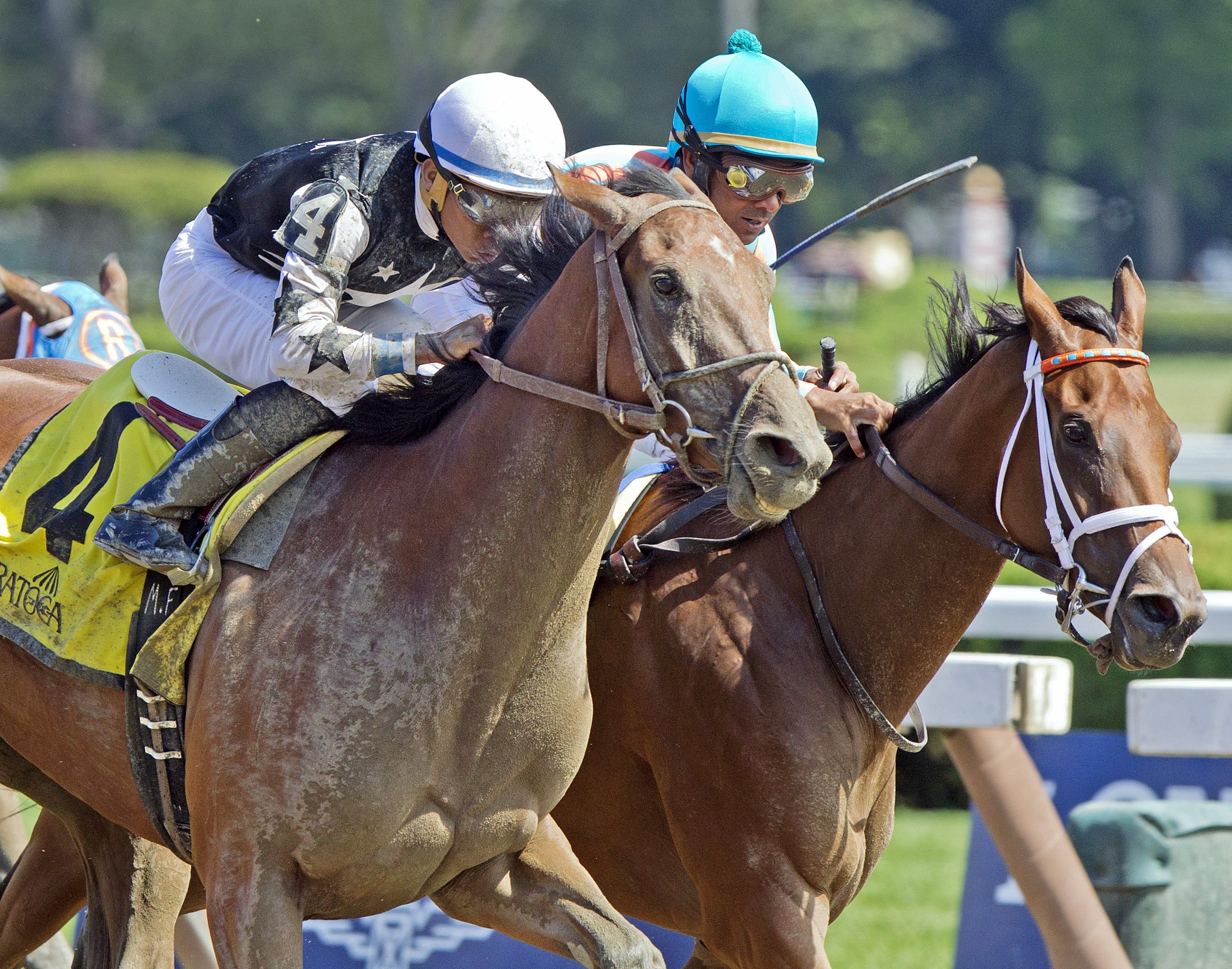 Jc's Shooting Star wins the Fleet Indian Stakes