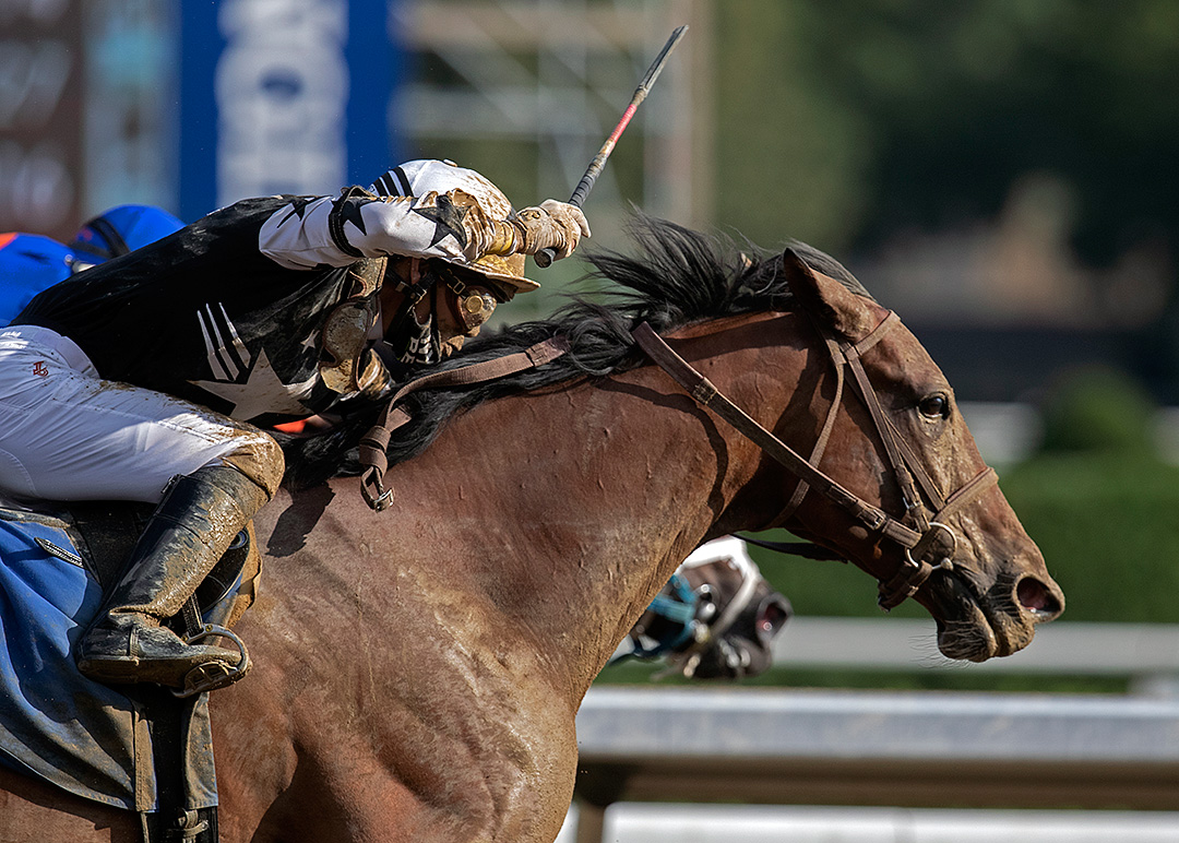 Jc's Shooting Star wins an Aug. 16 allowance at Saratoga Race Course