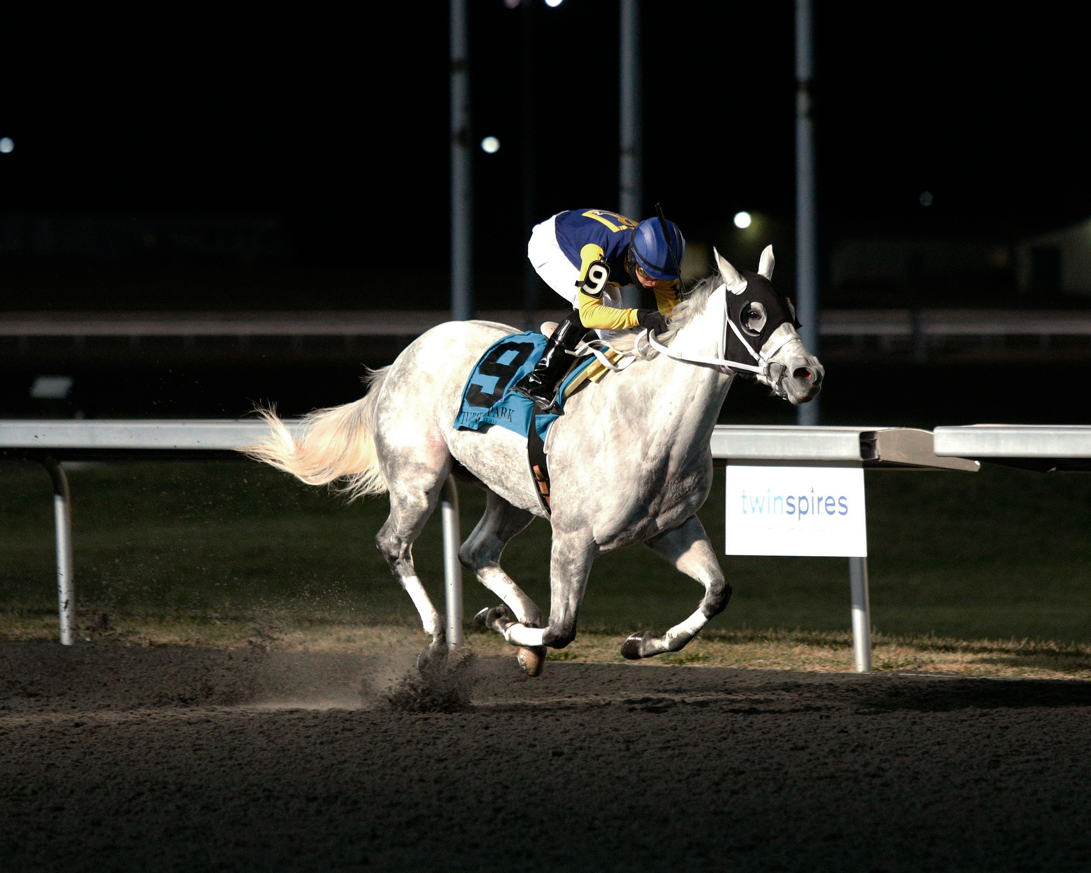 Jean Elizabeth wins the Holiday Inaugural at Turfway Park.12-6-2019