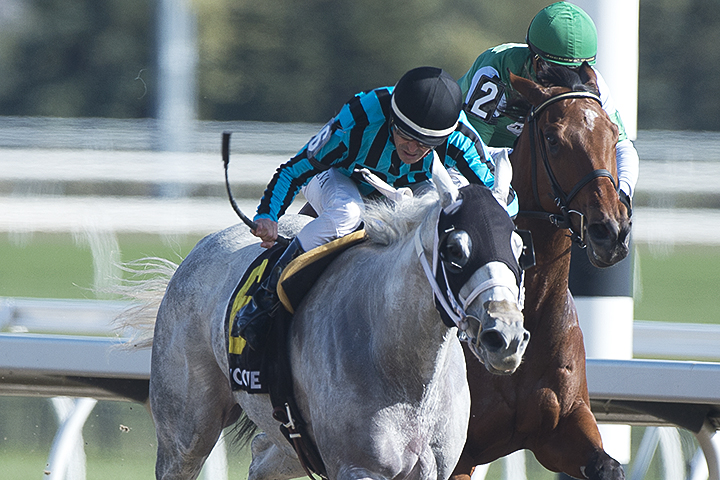 Jean Elizabeth wins the 2019 Ontario Fashion Stakes at Woodbine