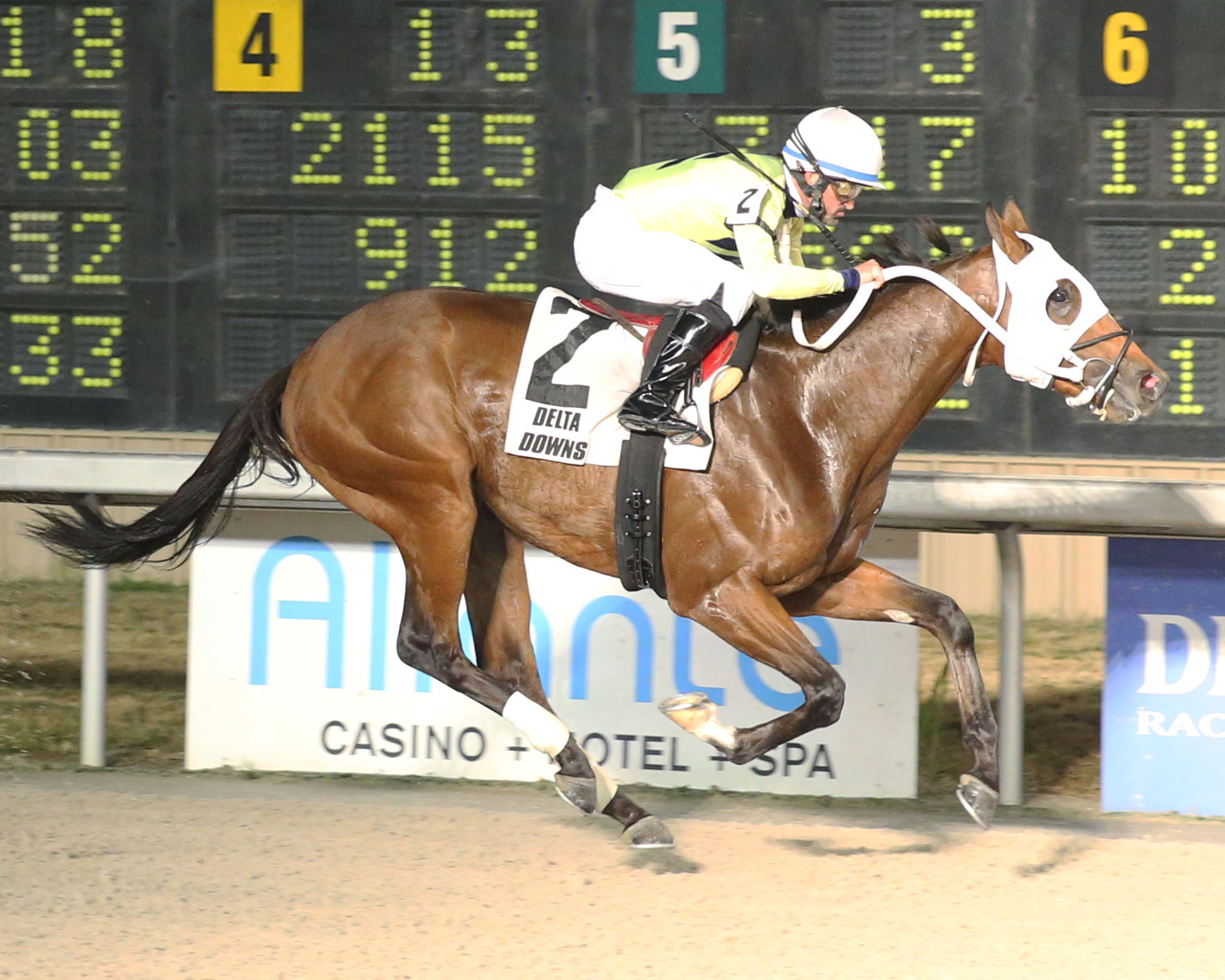 Jack the Umpire wins the 2019 Jean Lafitte Stakes