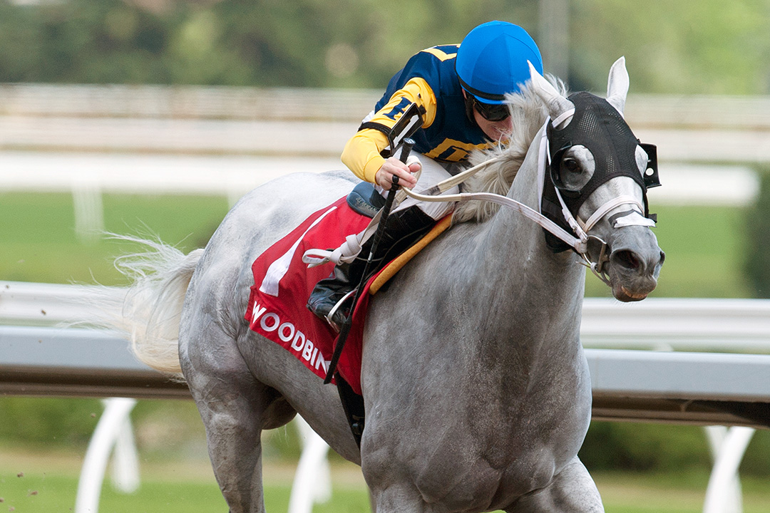 Jean Elizabeth wins the 2020 Whimsical Stakes at Woodbine