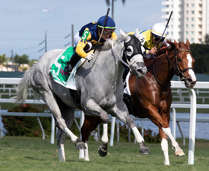 Jean Elizabeth (left) wins the 2020 Ladies' Turf Sprint Stakes at Gulfstream Park