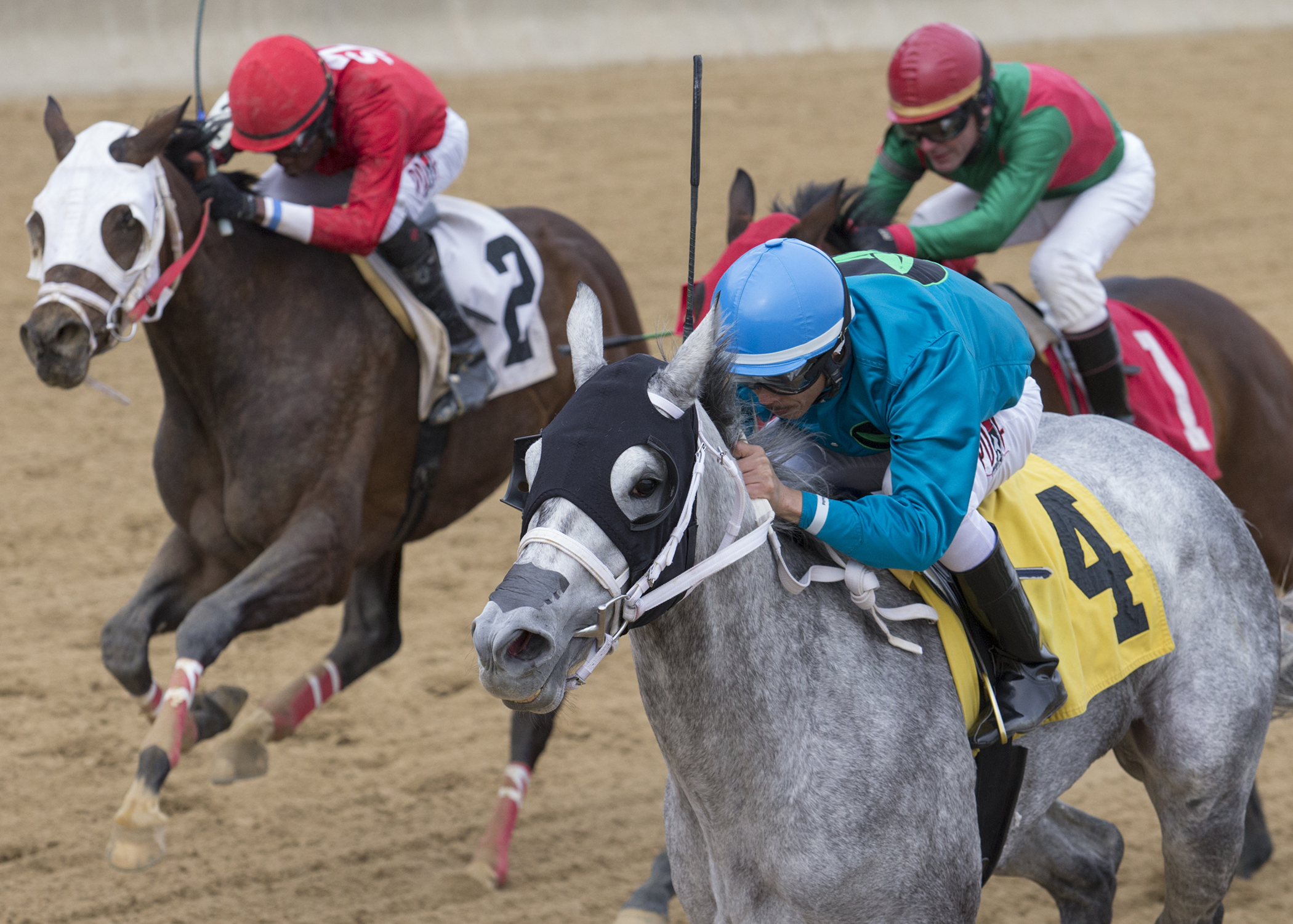 Jean Elizabeth wins 2018 Pretty Jenny Stakes