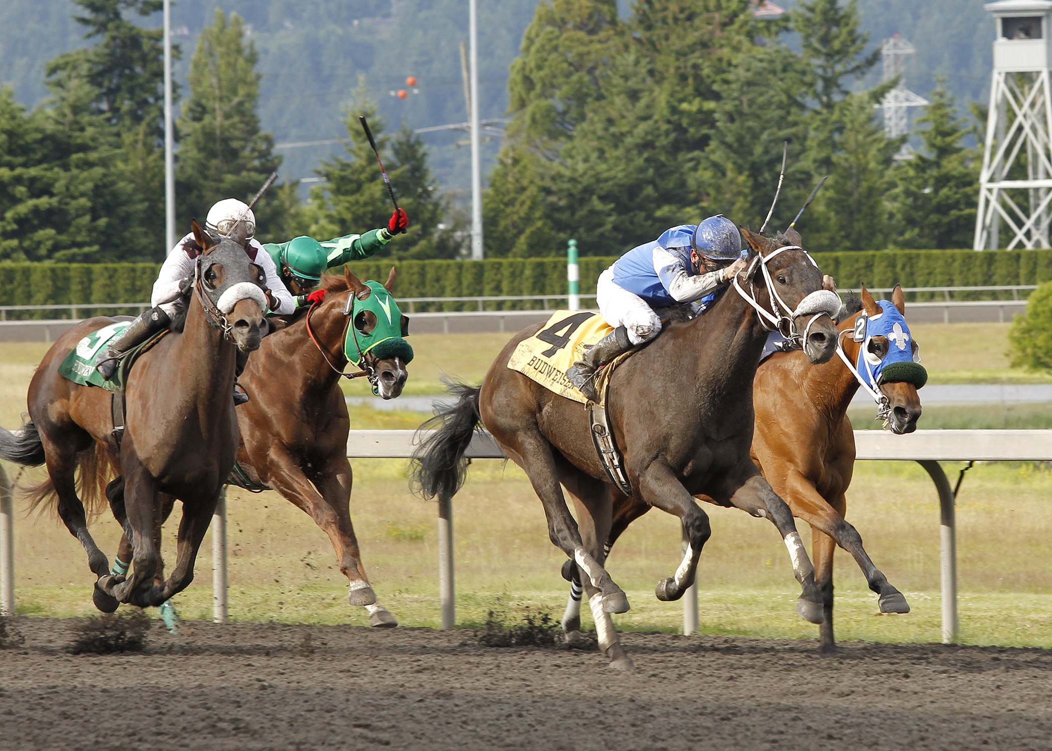 Jebrica/Stryker Phd/Budweiser Handicap