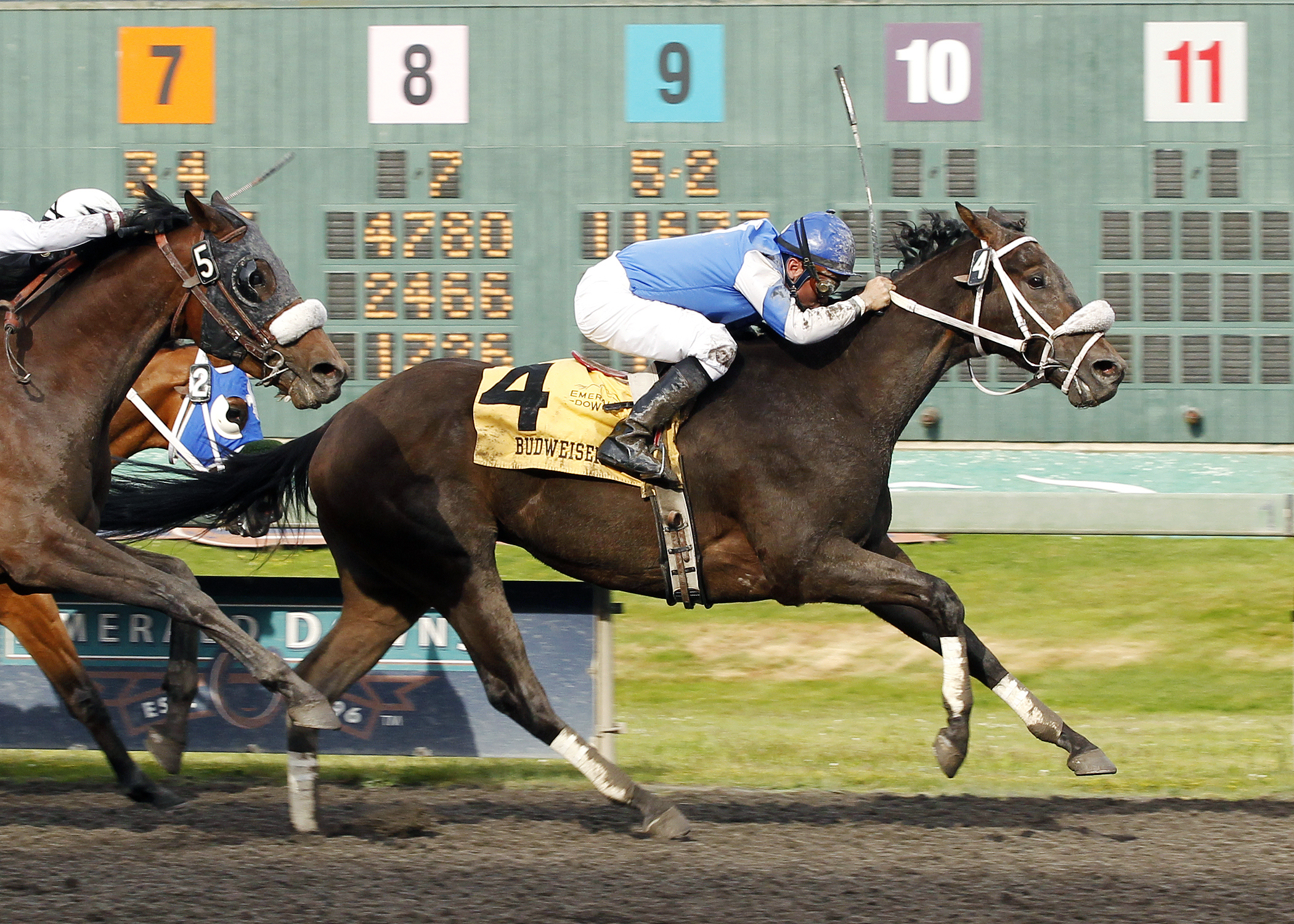 Jebrica wins the 2013 Budweiser Handicap