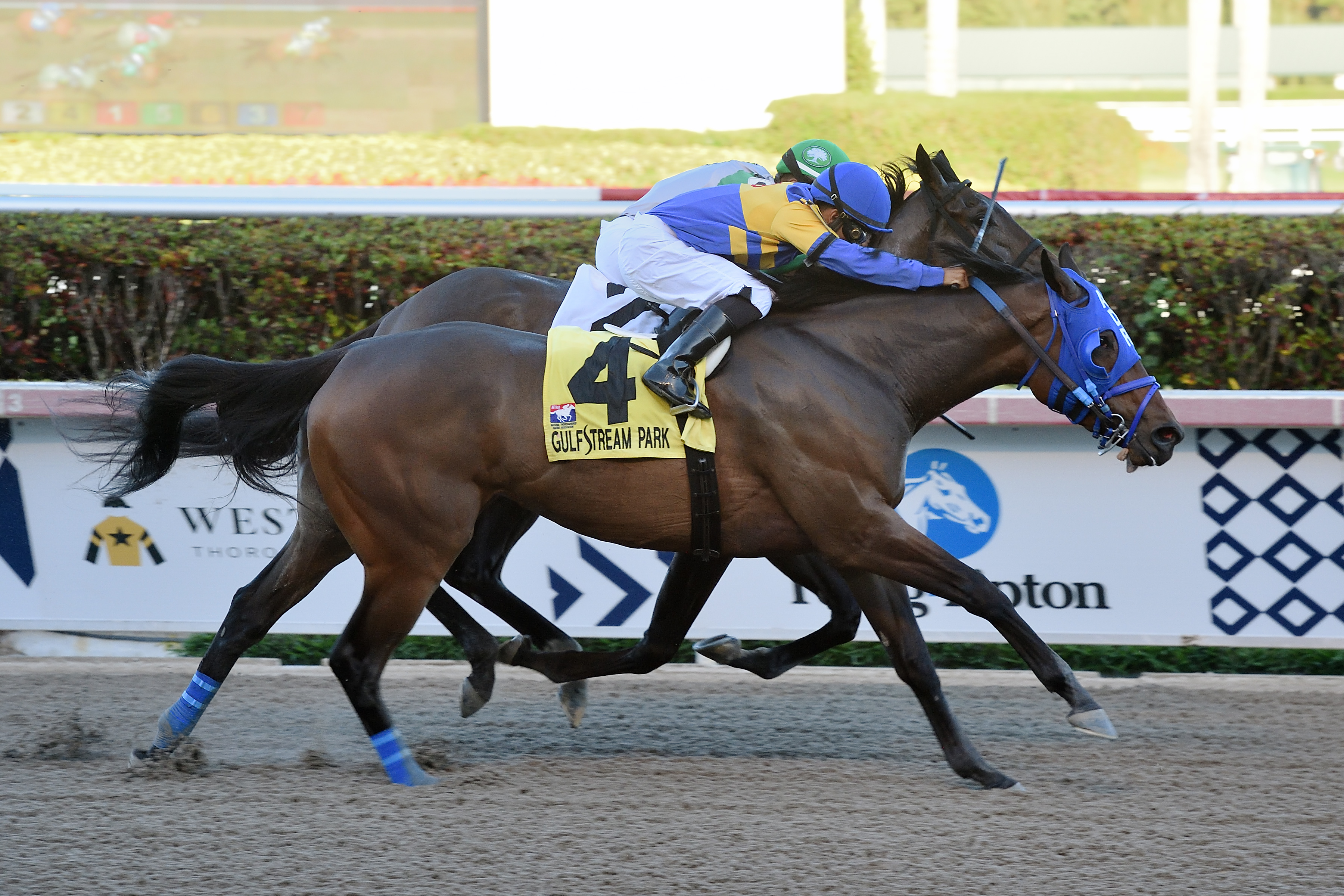Jeltrin (No. 4) wins the 2019 Davona Dale
