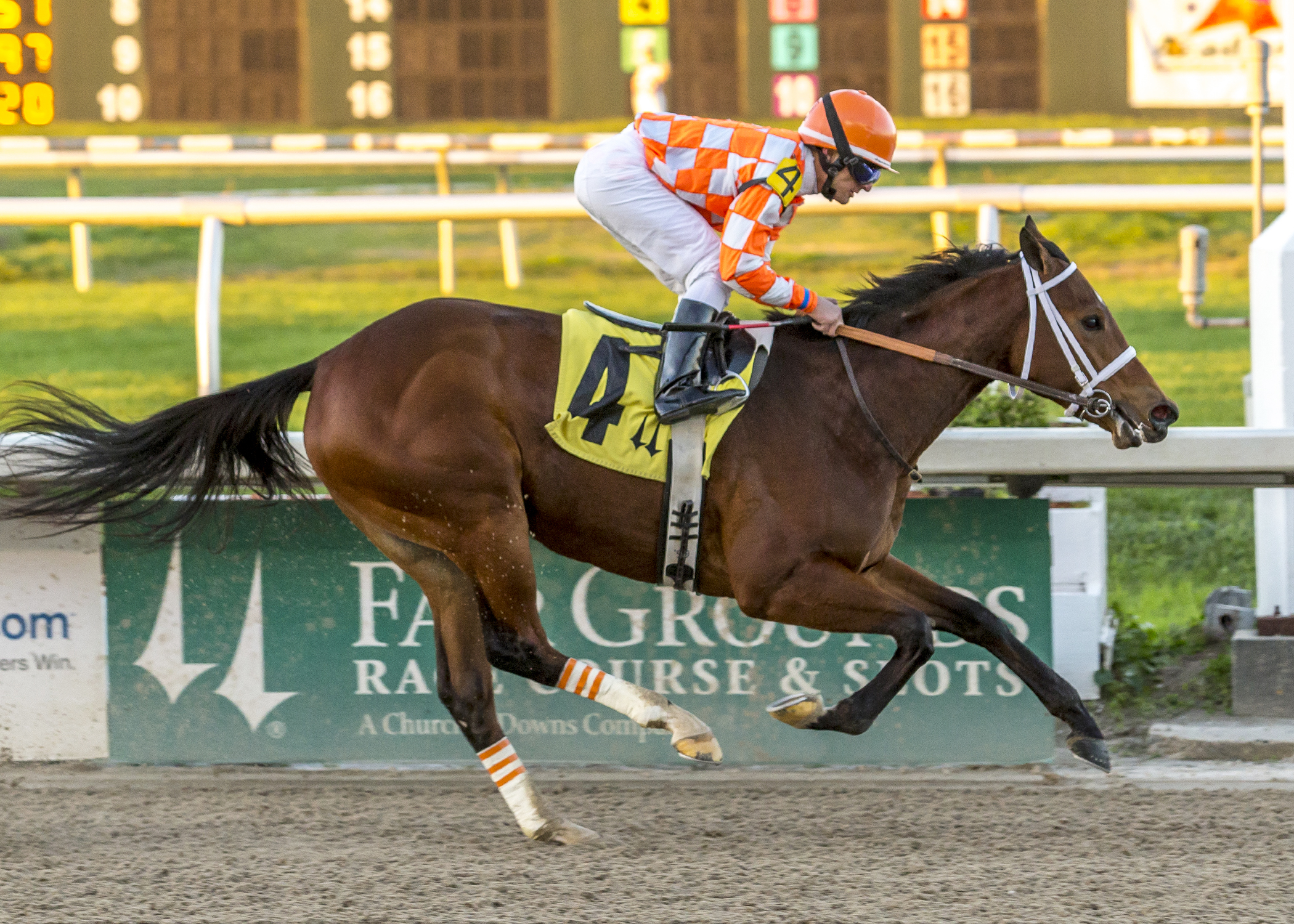 Jenda's Agenda wins a maiden race