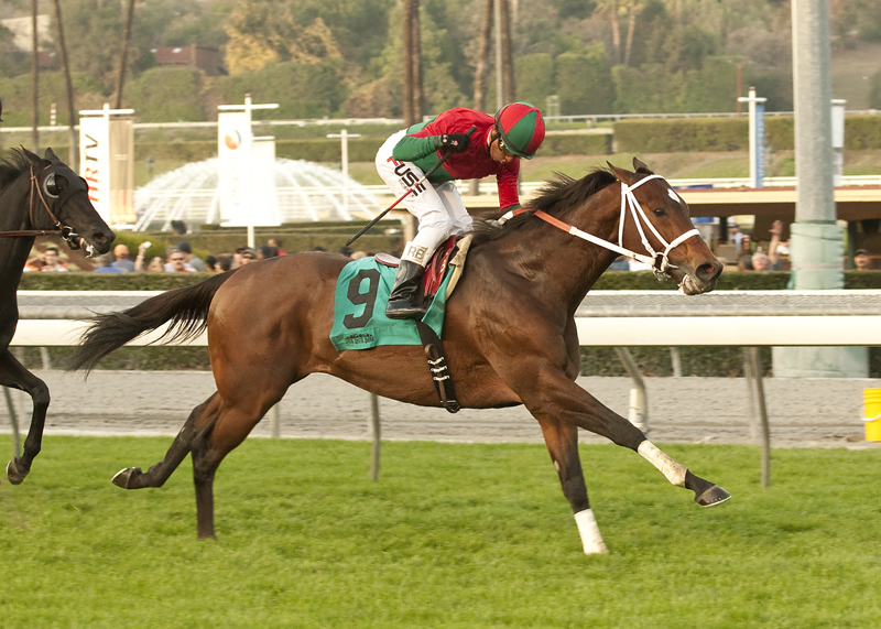 Jeranimo 1-4-2013