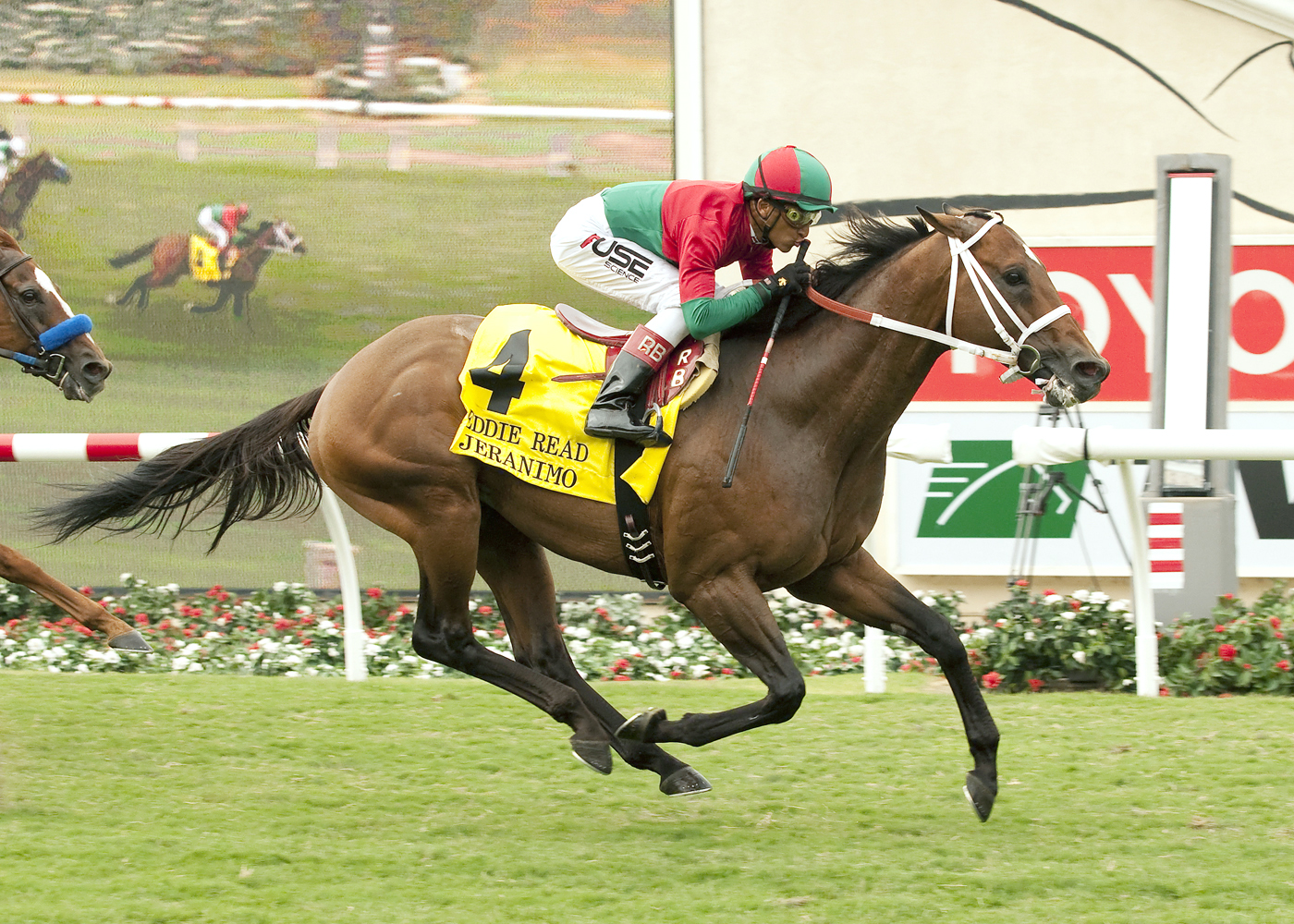 Jeranimo, Eddie Read