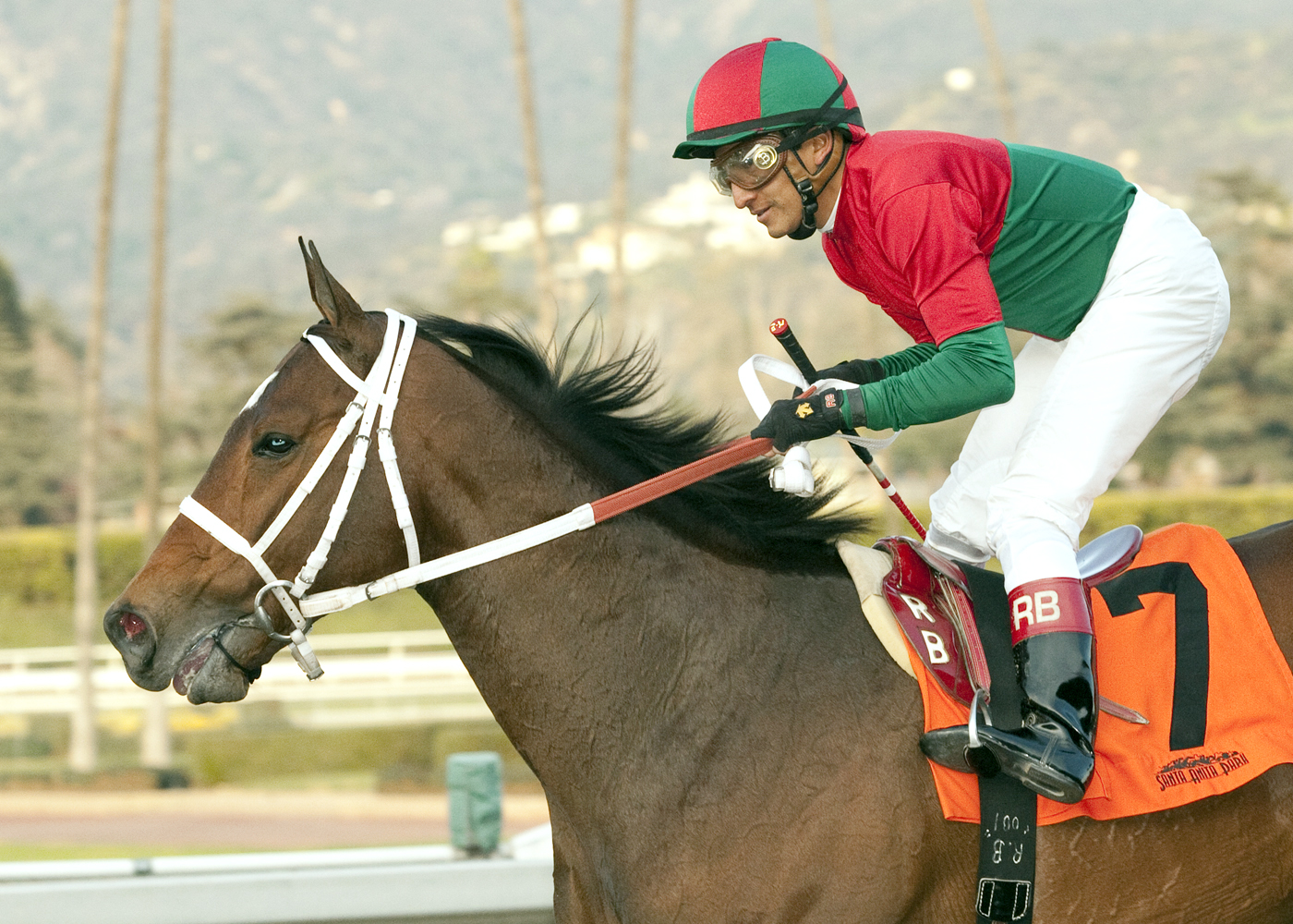 Jeranimo, San Gabriel Stakes