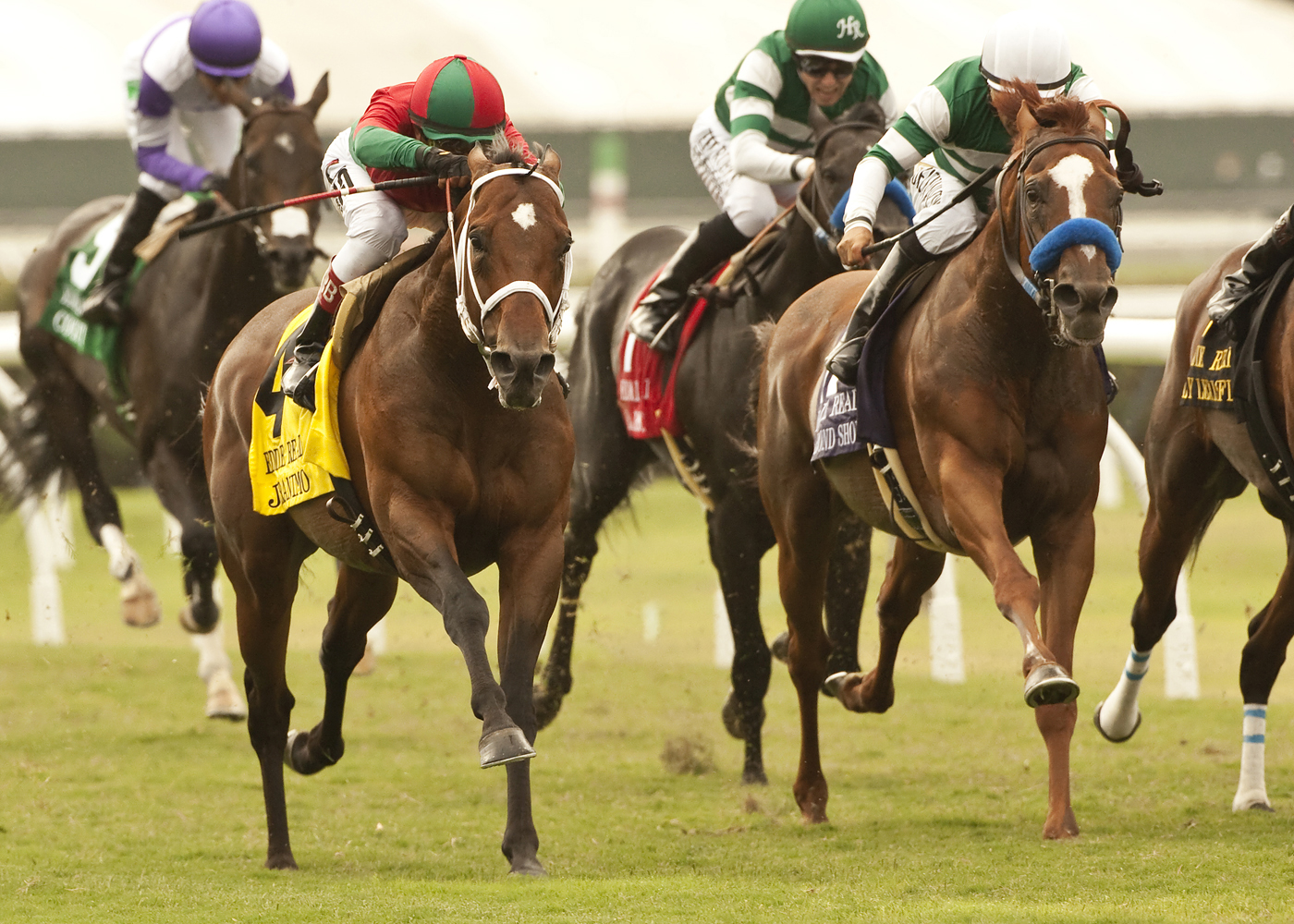 Jeranimo, Eddie Read Stakes