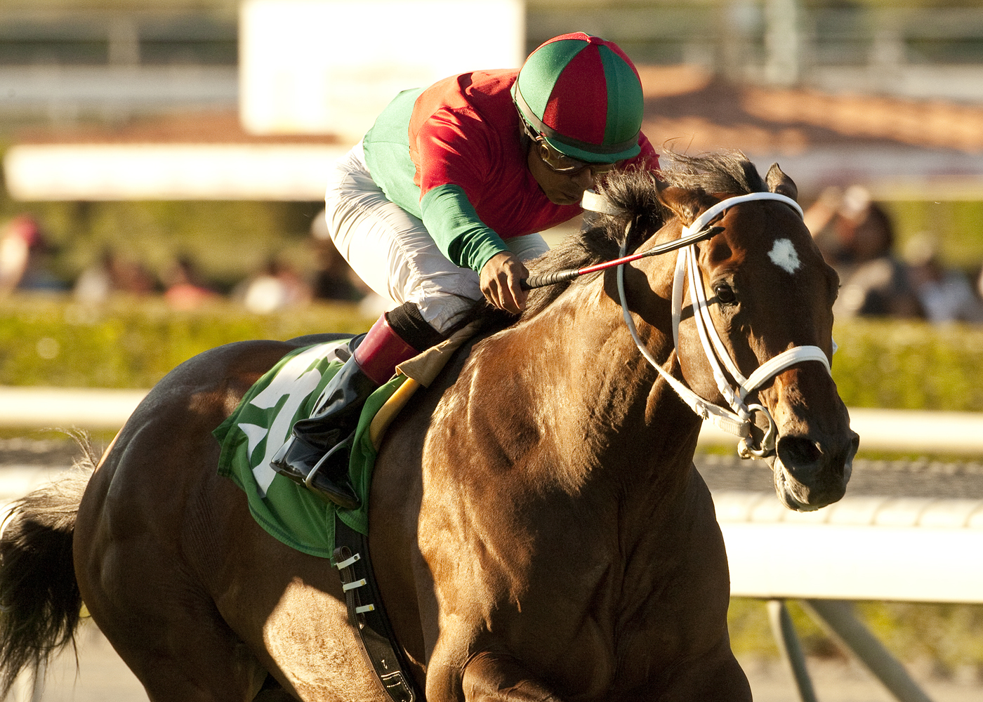 Jeranimo/Oak Tree Mile