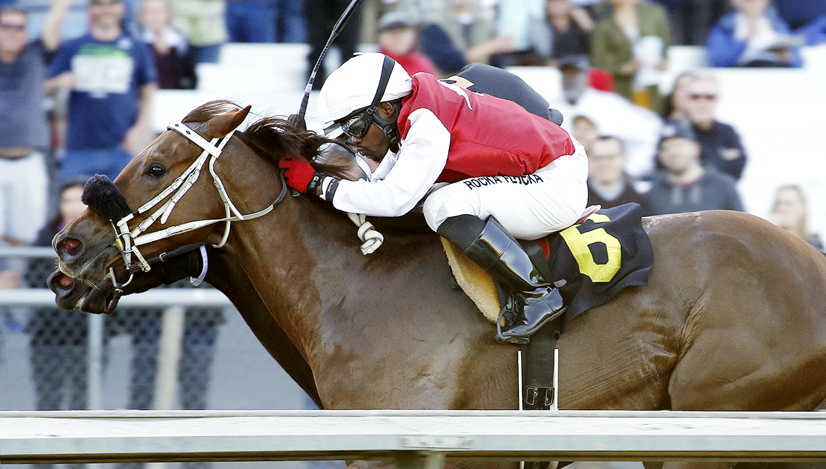 Jerre to Carrie wins an April 9 2016 allowance race