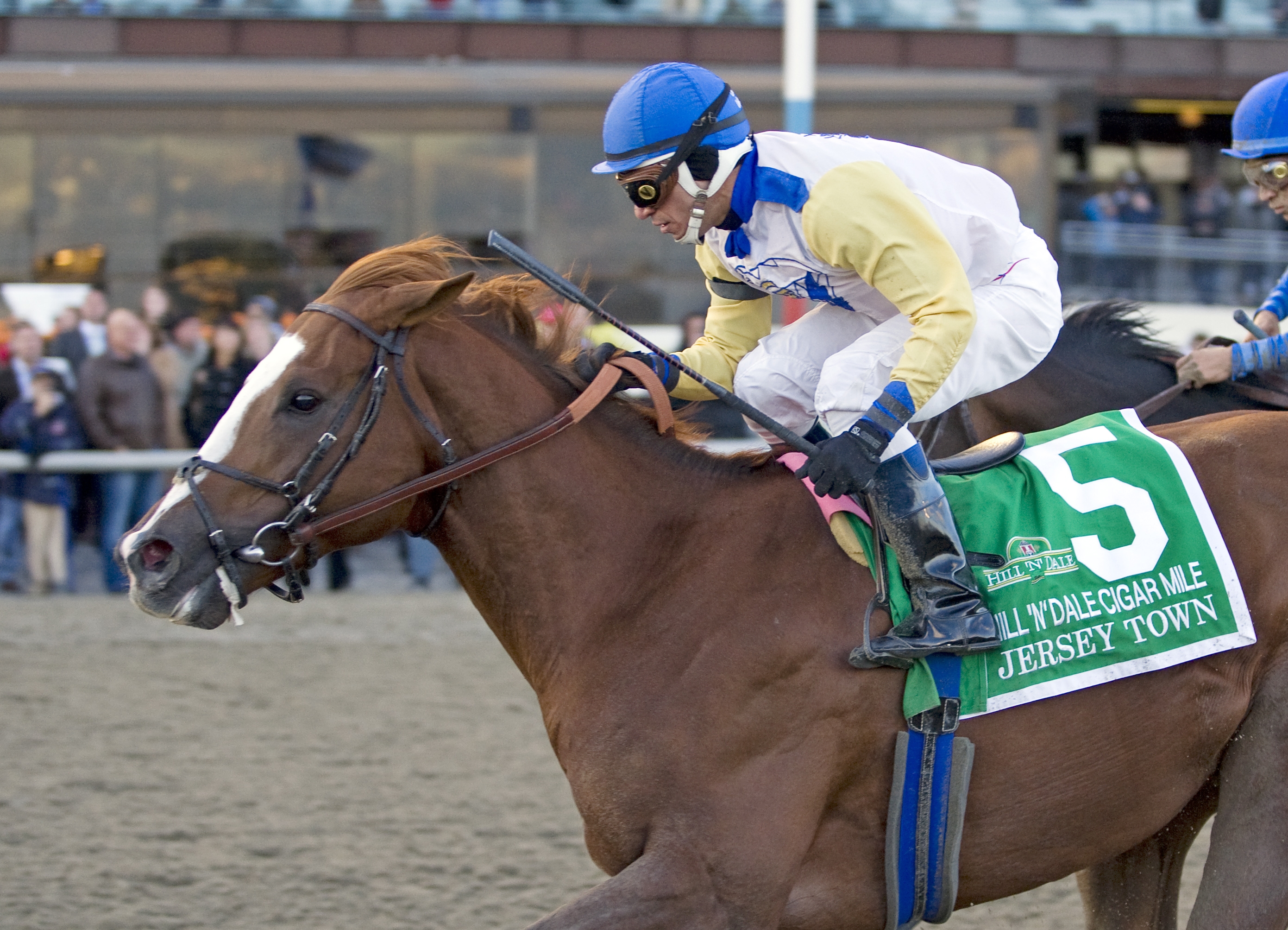 Jersey Town wins the 2010 Cigar Mile