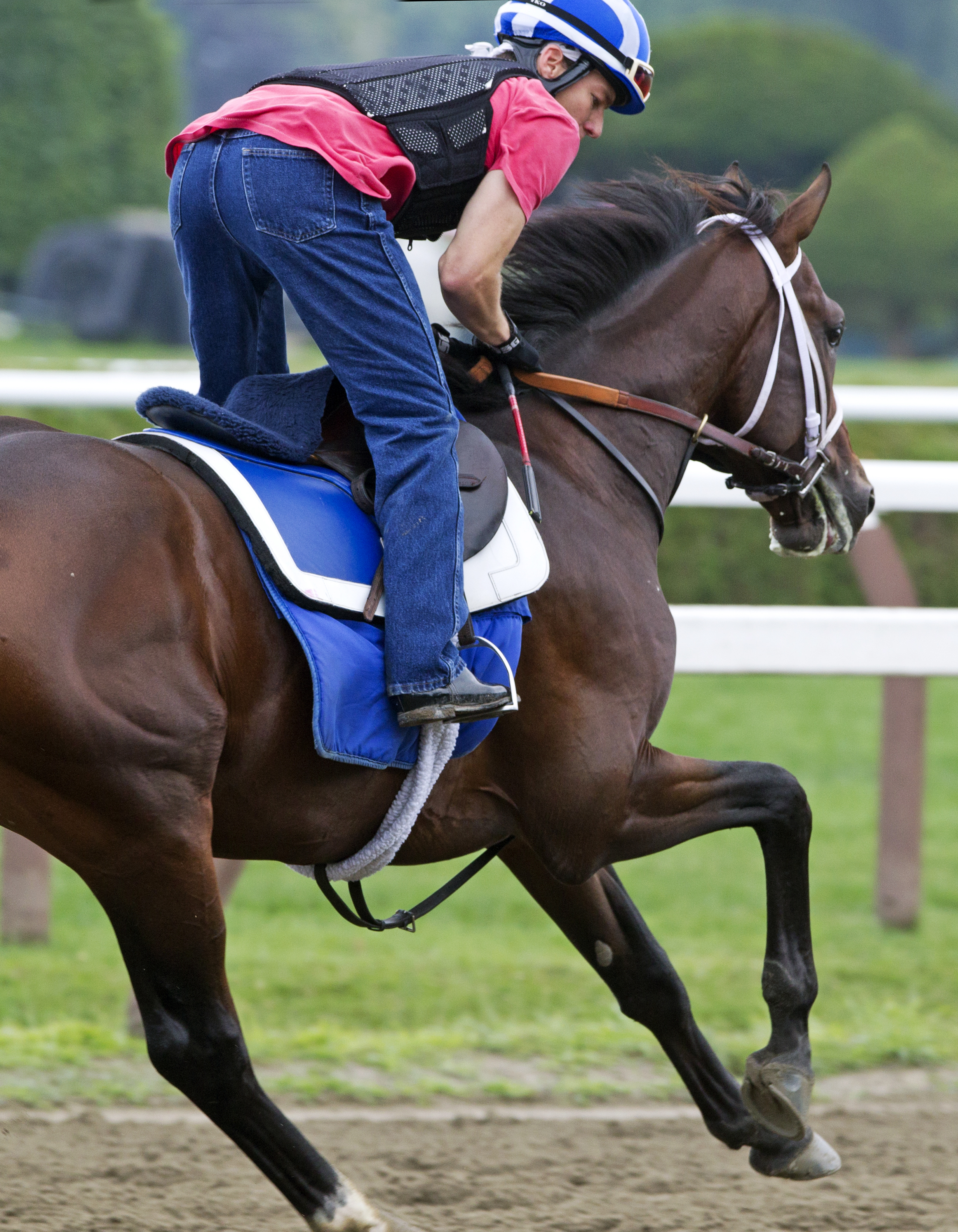 Jess's Dream trains at Saratoga