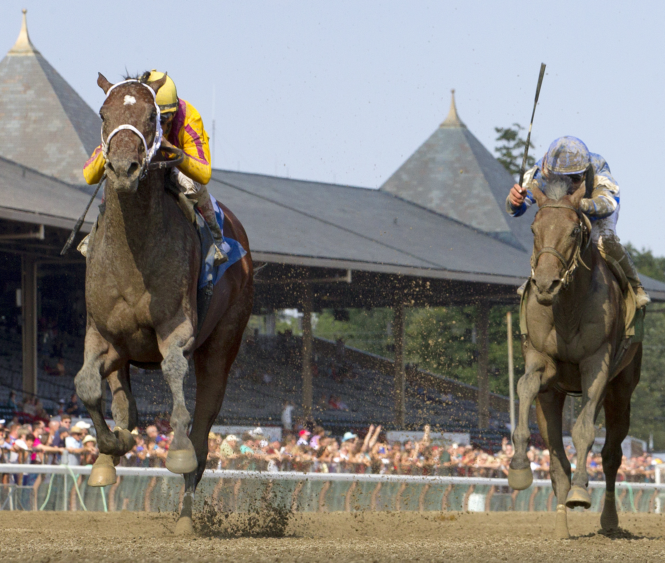 Jess's Dream wins his racing debut