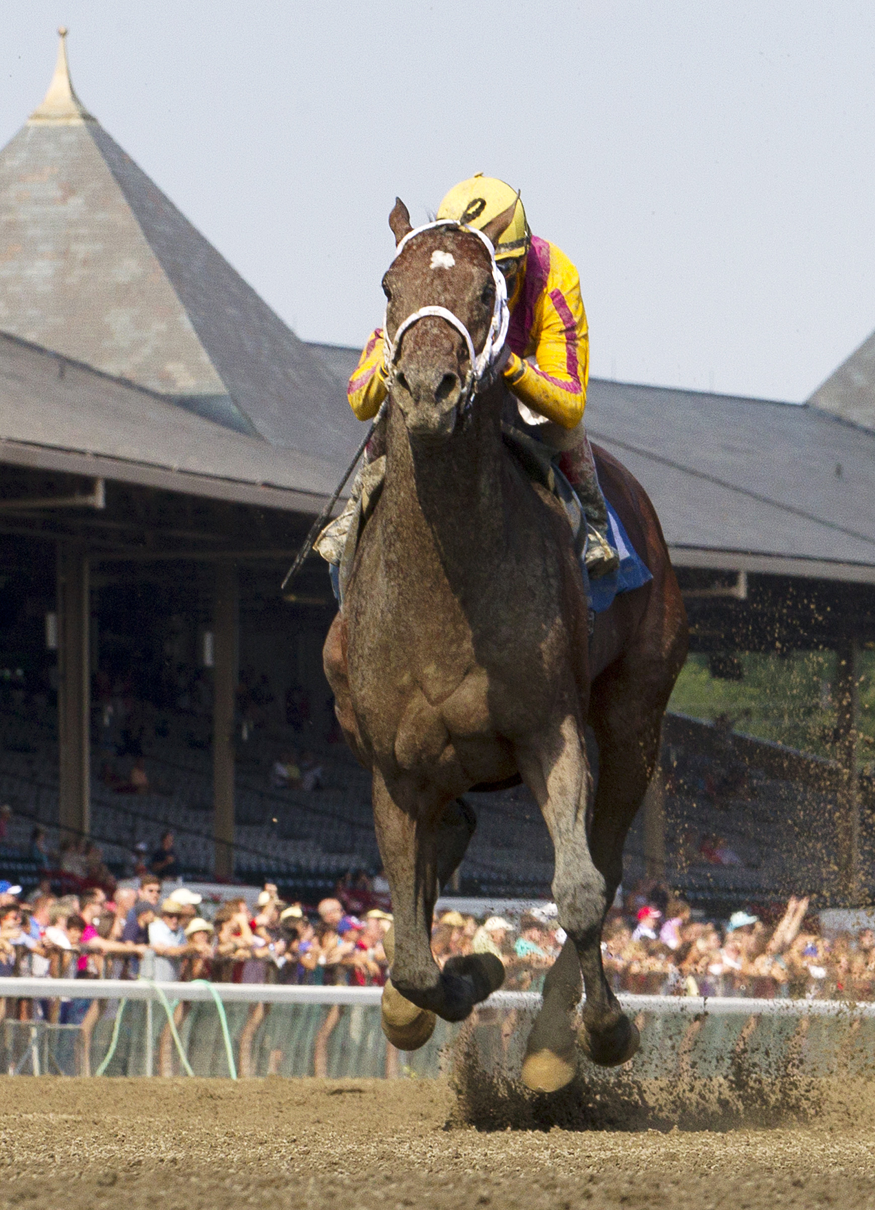 Jess's Dream wins his racing debut