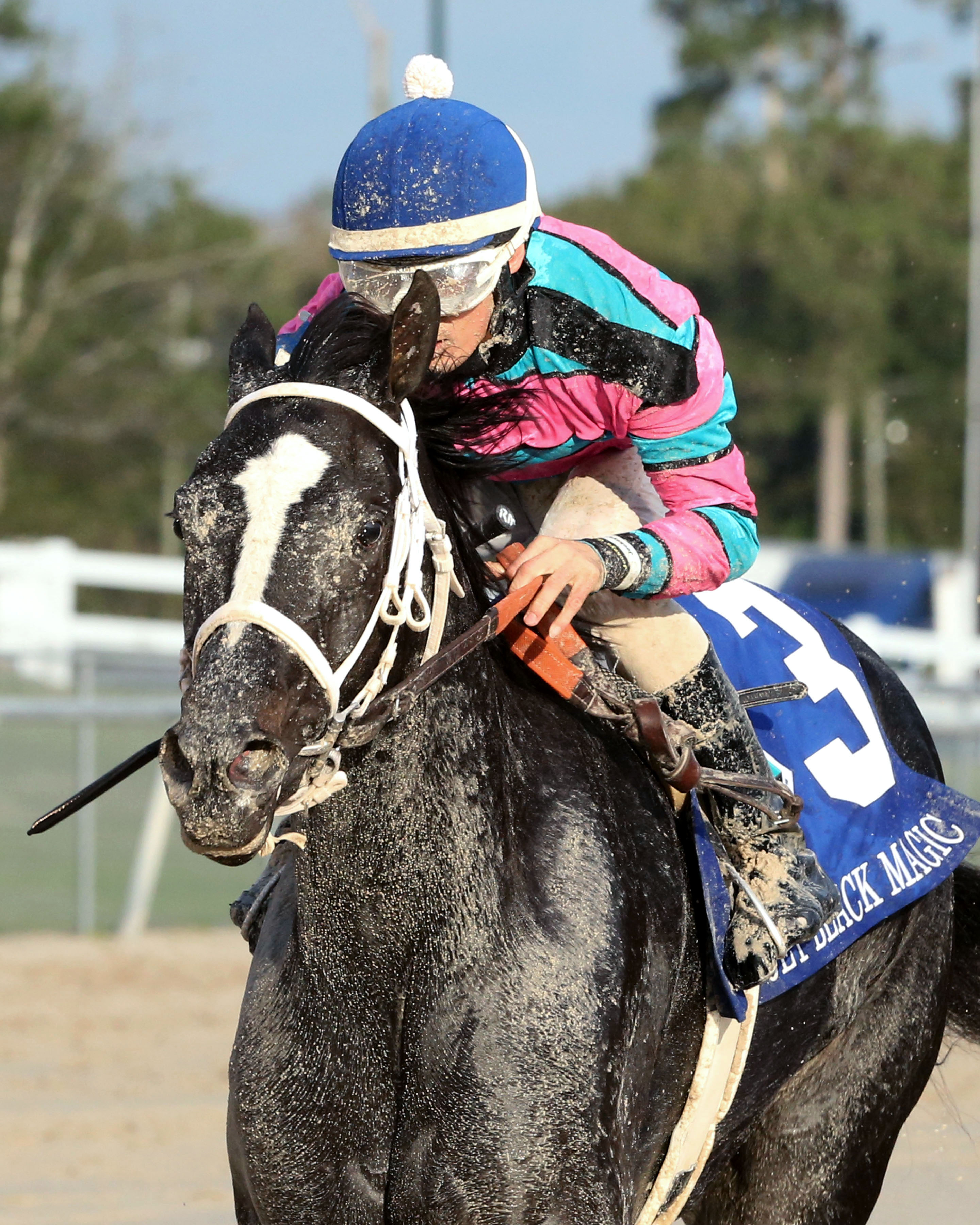 Jet Black Magic wins the Delta Down Princess Stakes