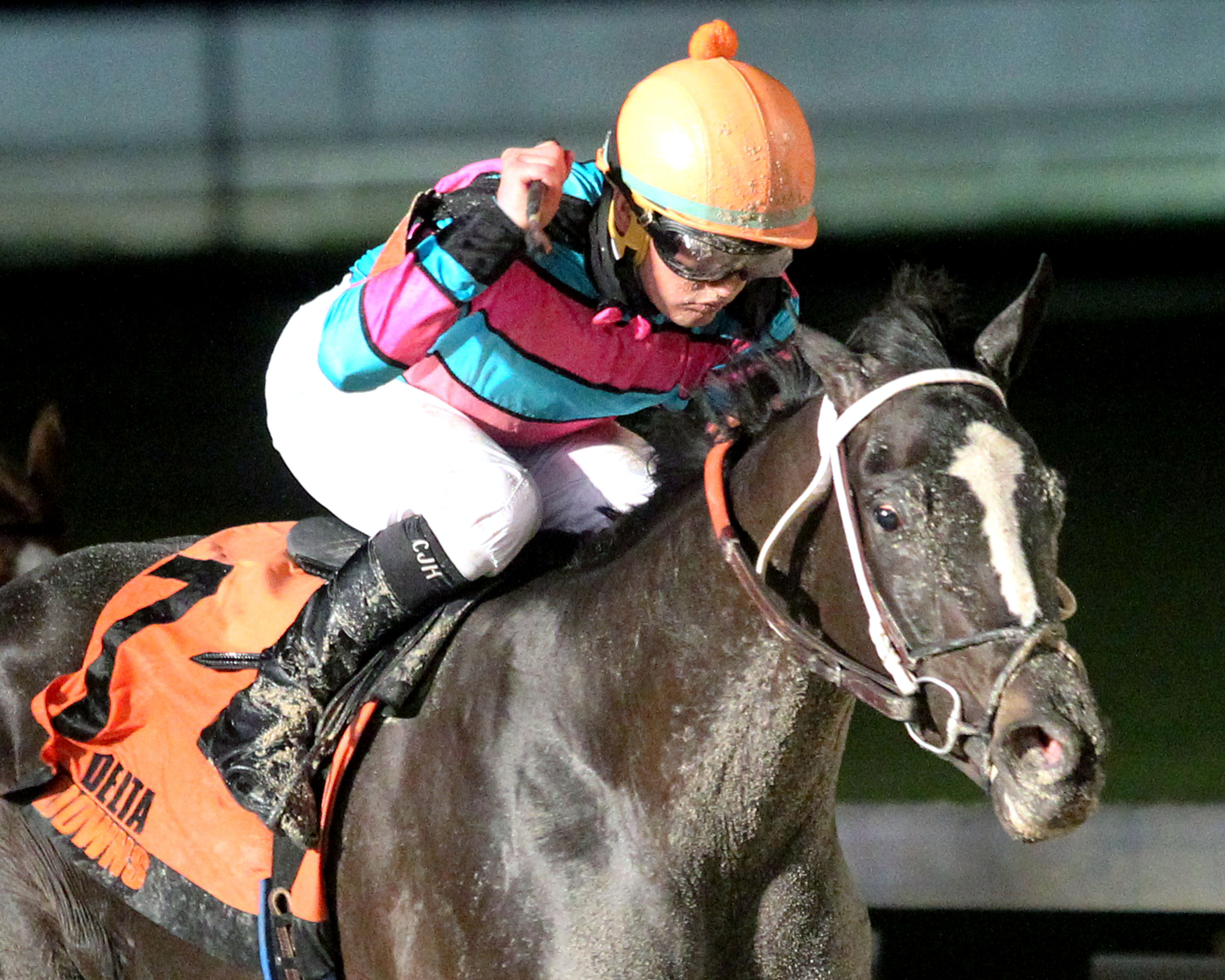 Jet Black Magic wins the Azalea Stakes