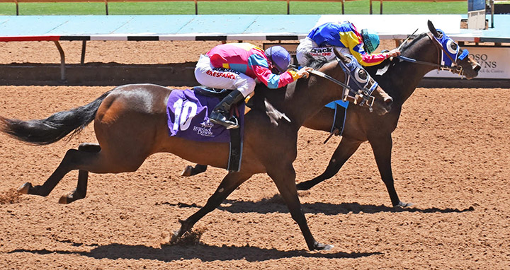 Jettz (right) wins a Ruidoso Futurity Trial at Ruidoso Downs on May 24