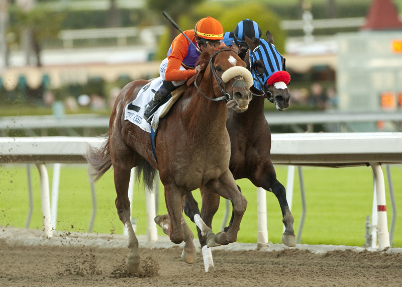 Jimmy Creed, Malibu Stakes