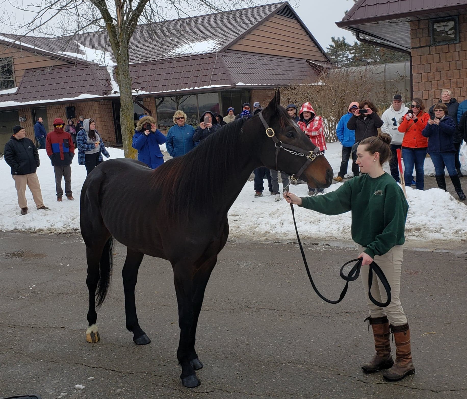 Winbak Open House