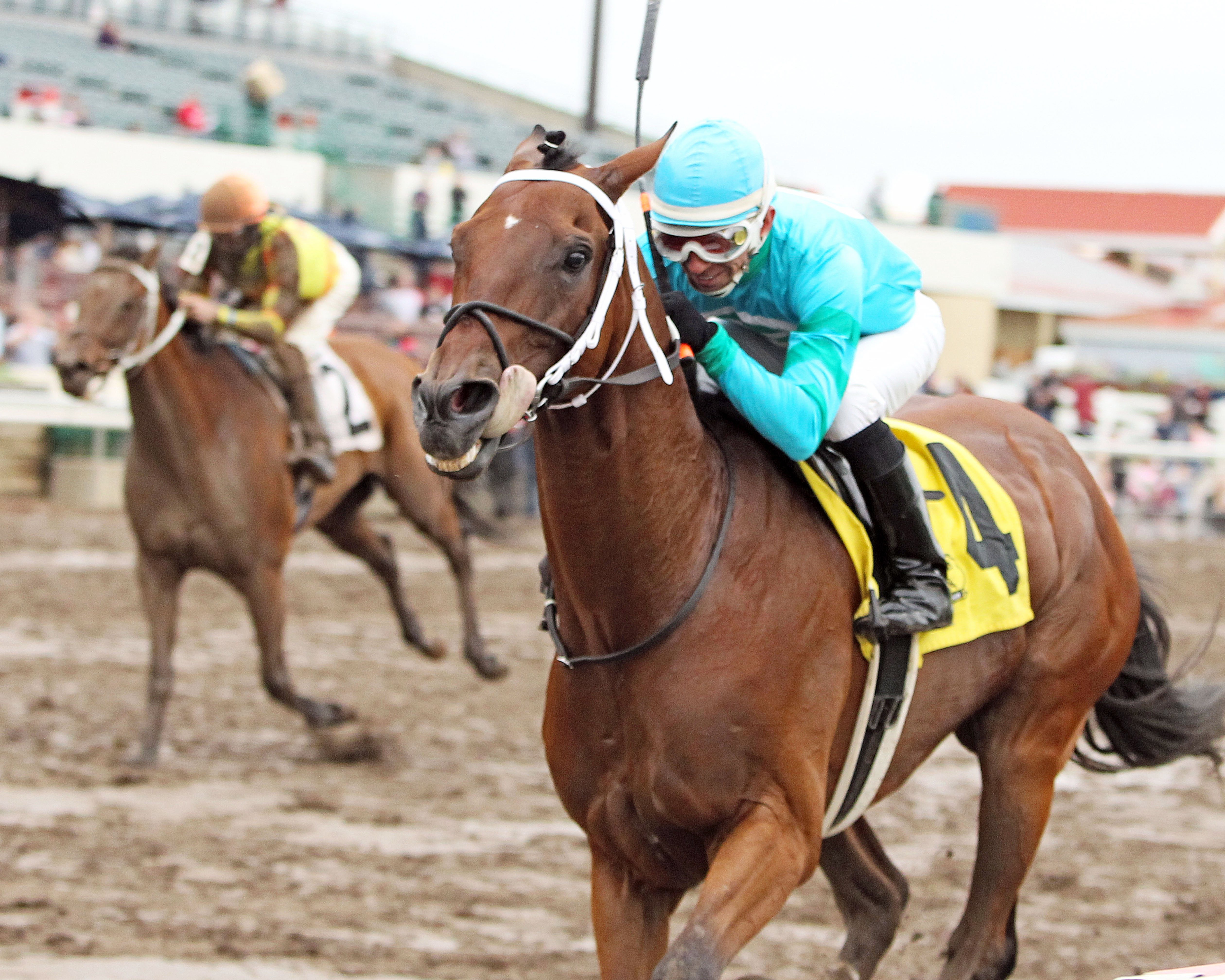 Jimmy Simms wins the Brooks Fields Stakes