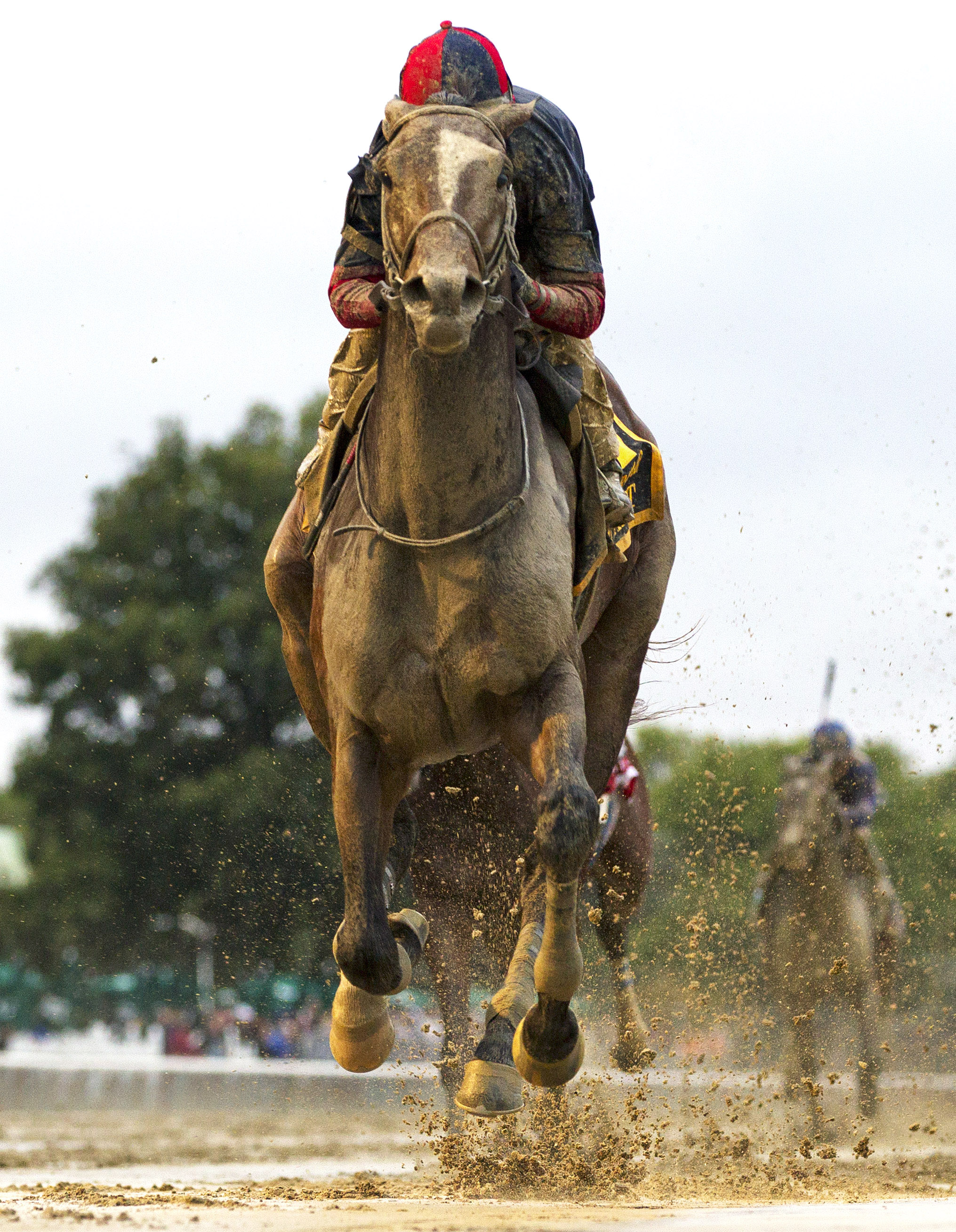 Tonalist wins 2015 Jockey Club Gold Cup