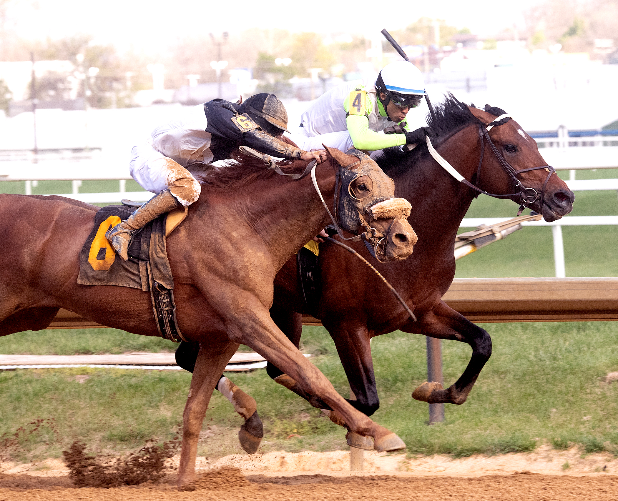 Joe (4) wins Tessio Stakes 4-16-2022