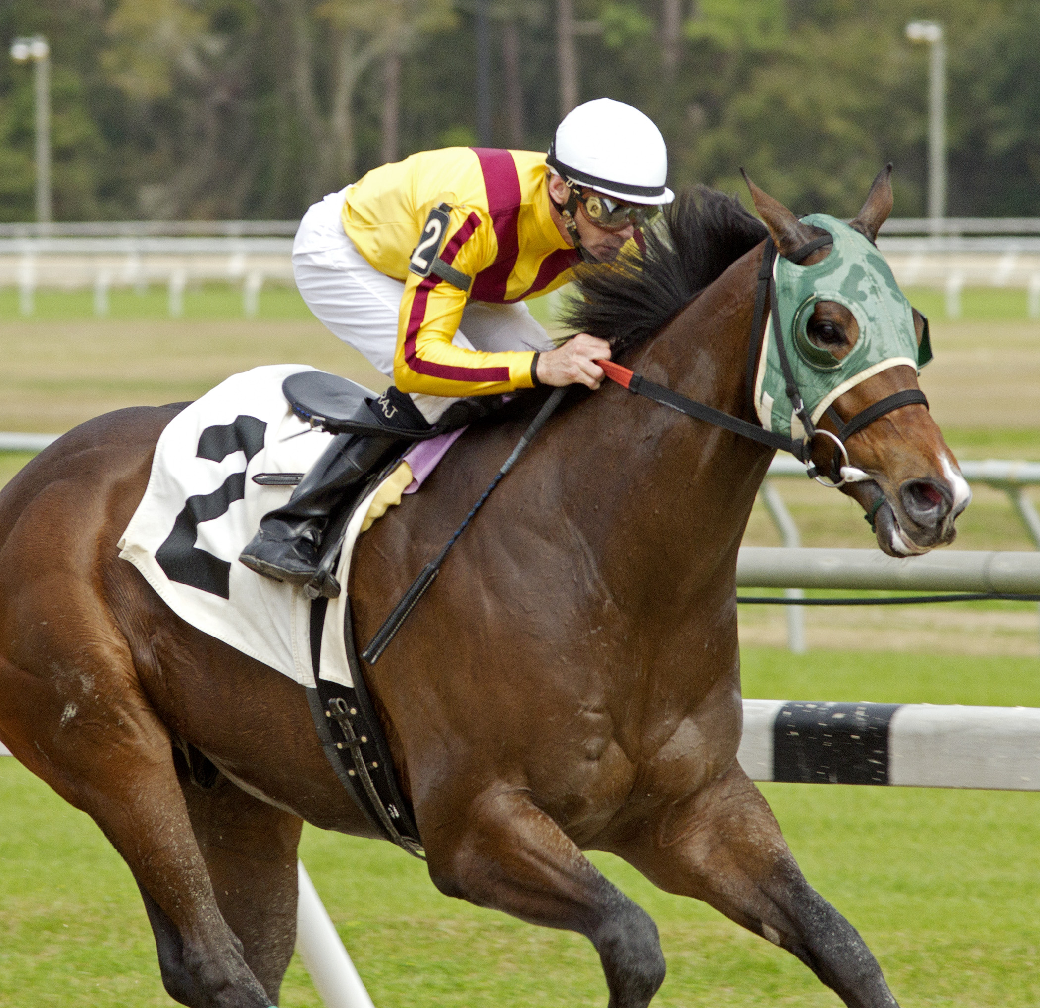 Joe Tess wins an allowance race