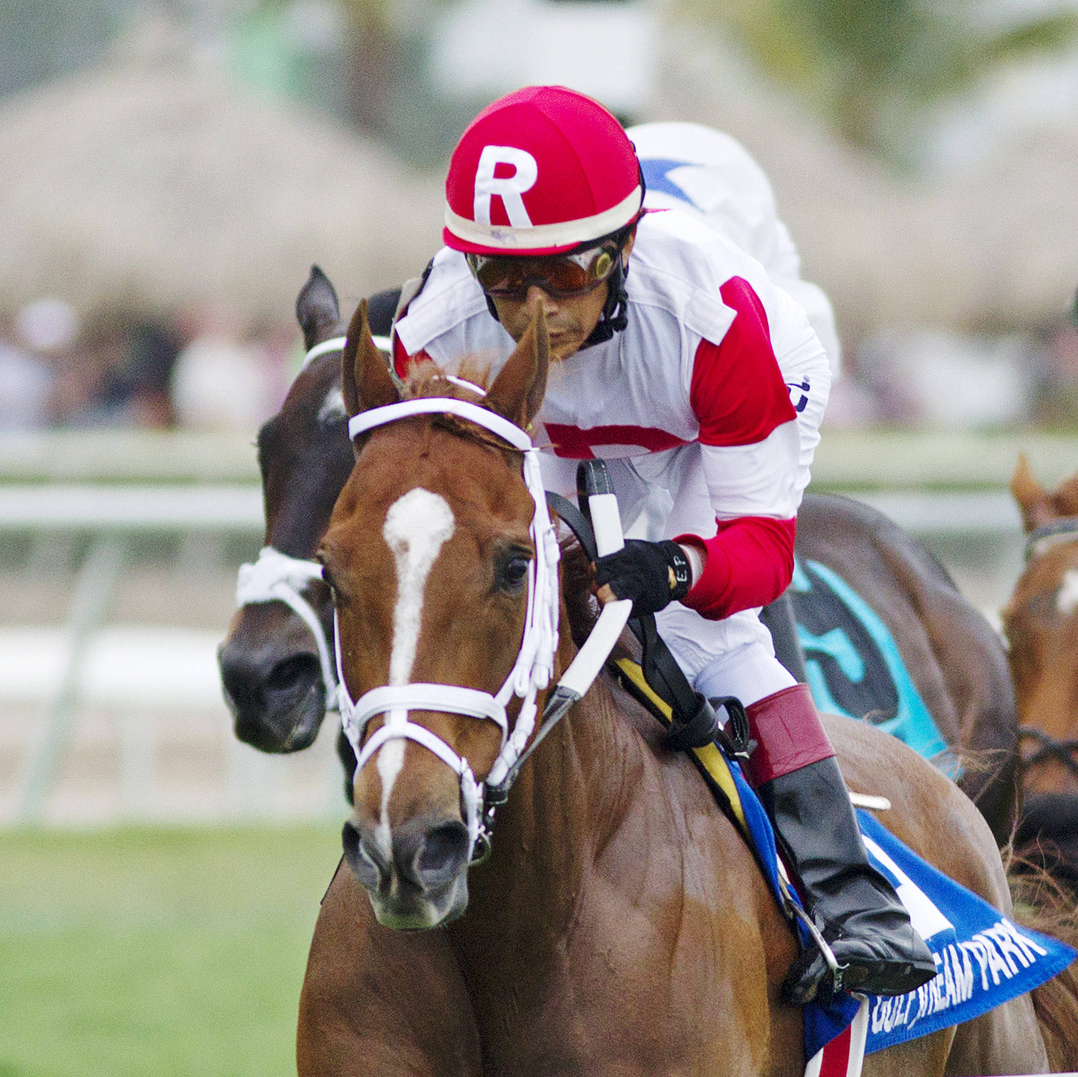 Joes Blazing Aaron finishes fourth in the 2014 Pan American Stakes