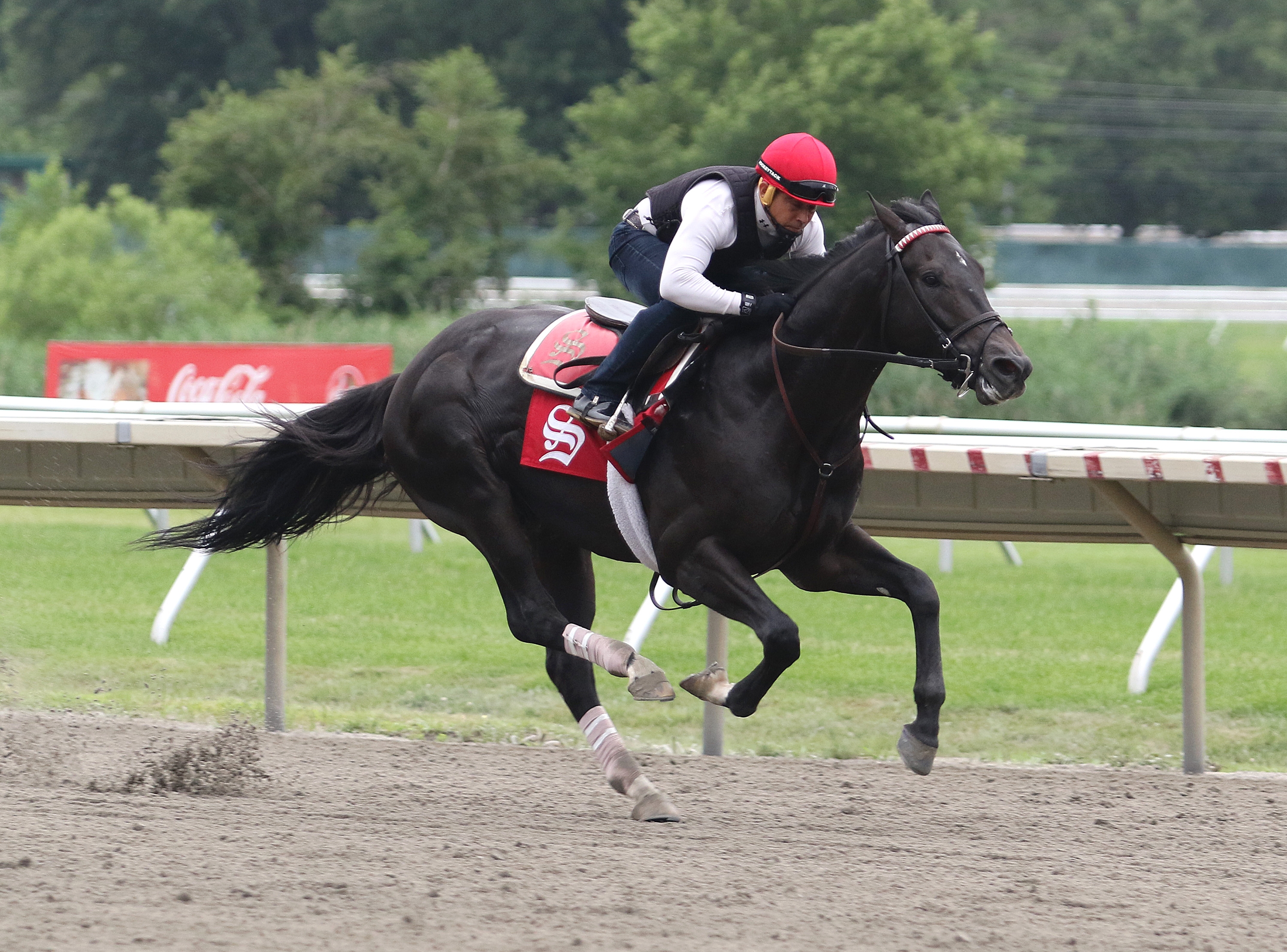 Joevia trains on 7.8.19 at Monmouth Park