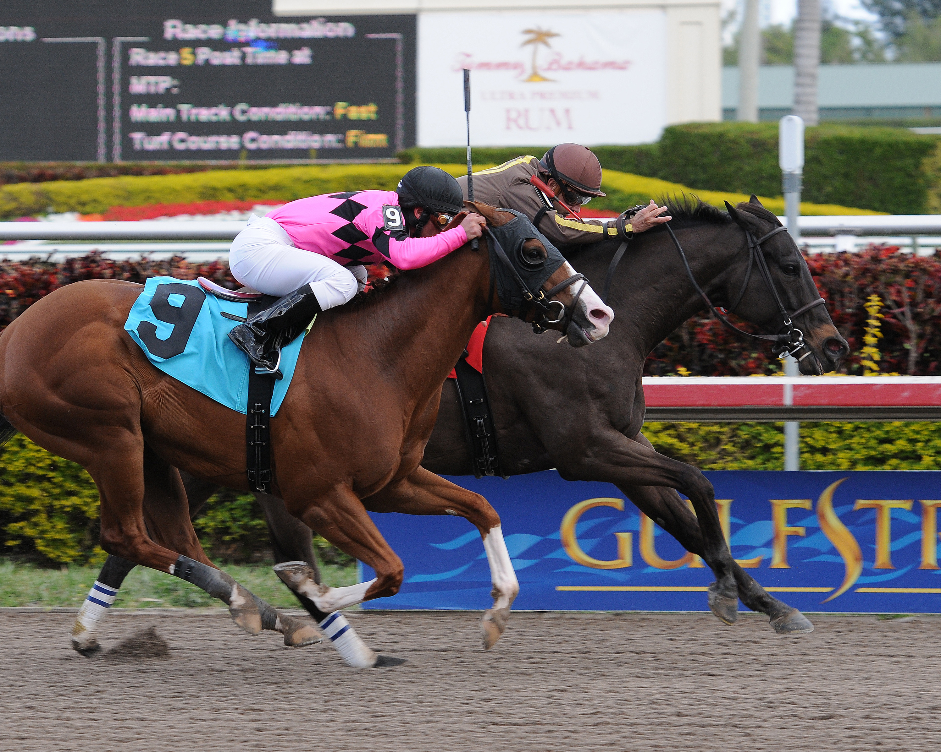 Safe Trip (running second to Joey P.)