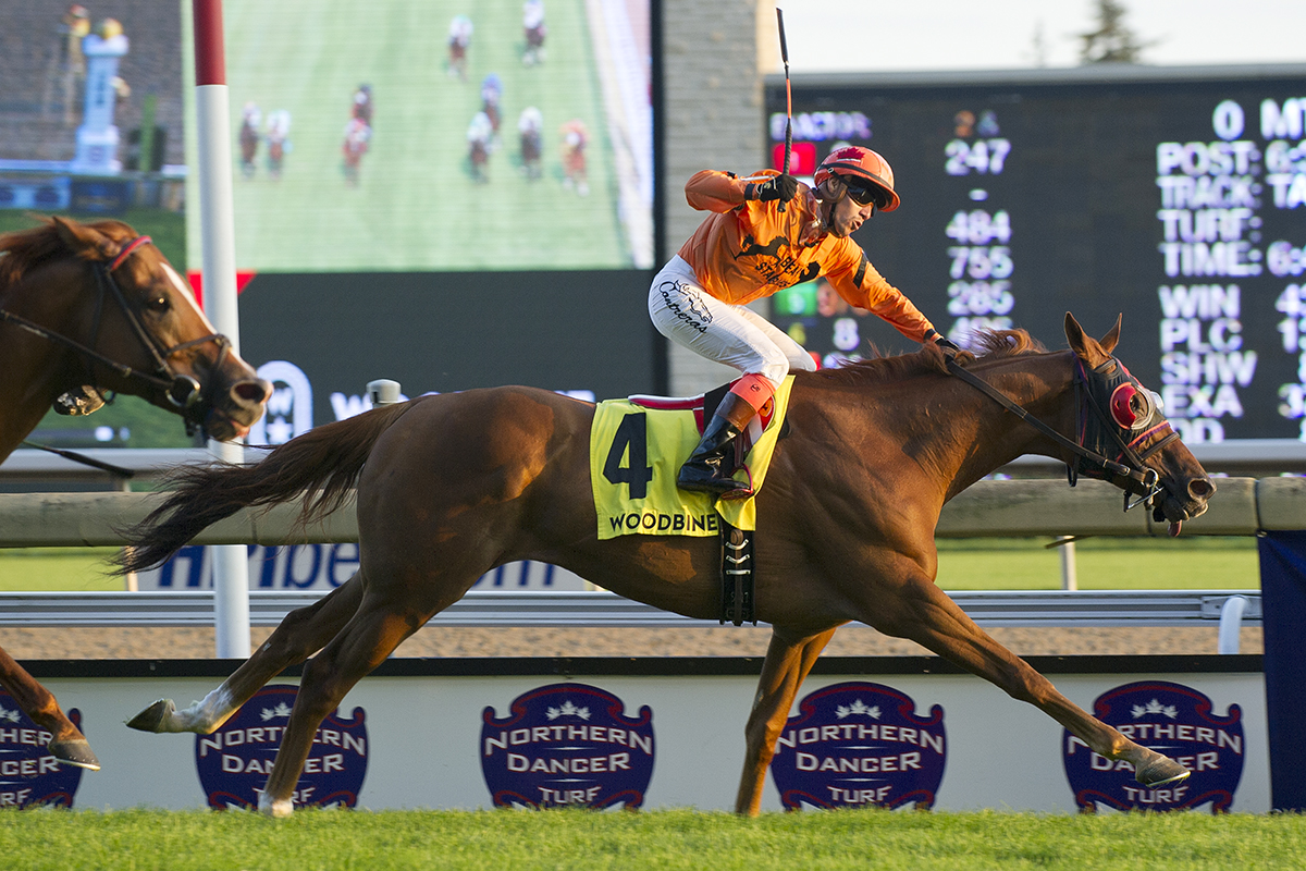 Johnny Bear wins the 2018 Northern Dancer