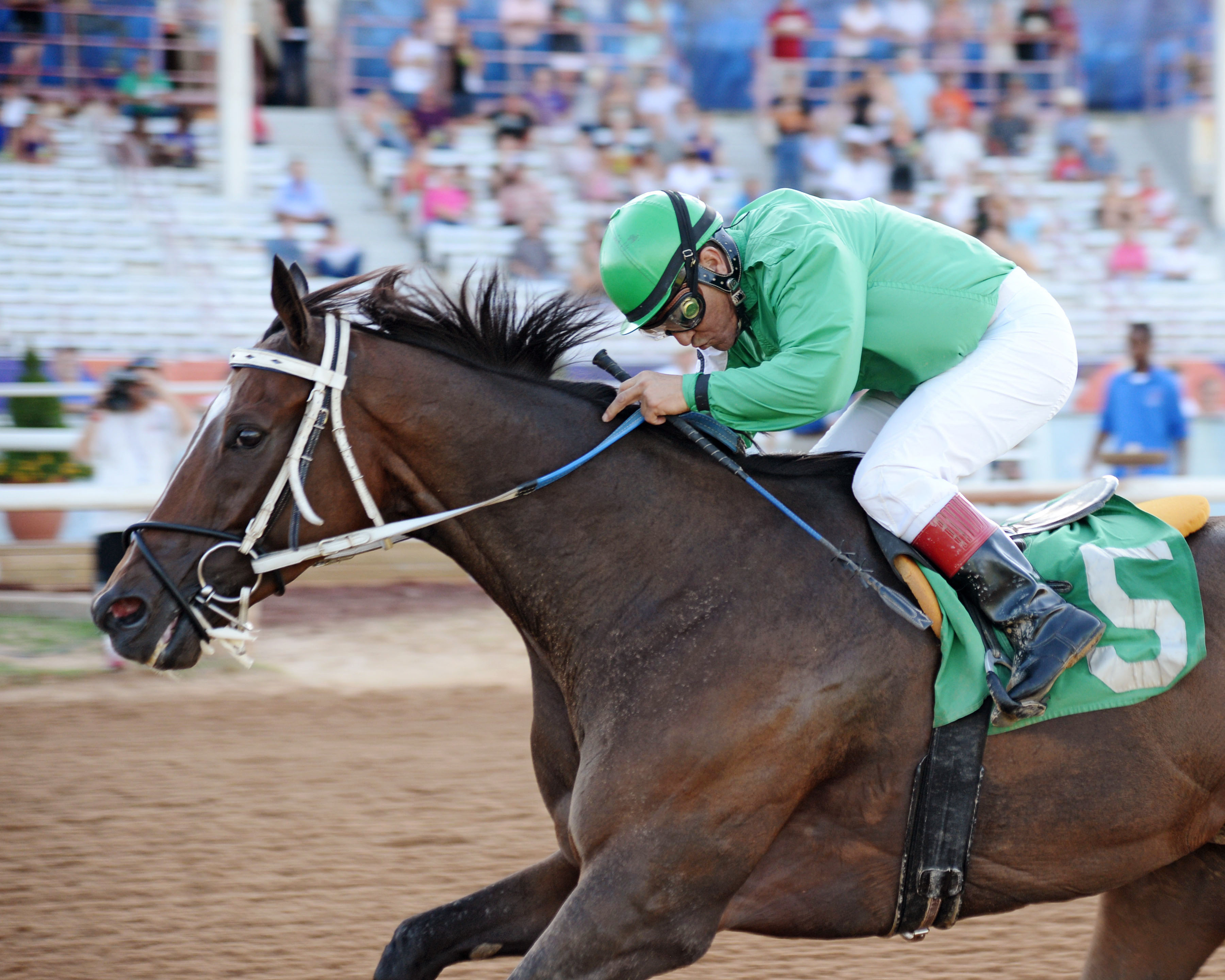 Johnny Whip wins the 2015 Route 66 Stakes