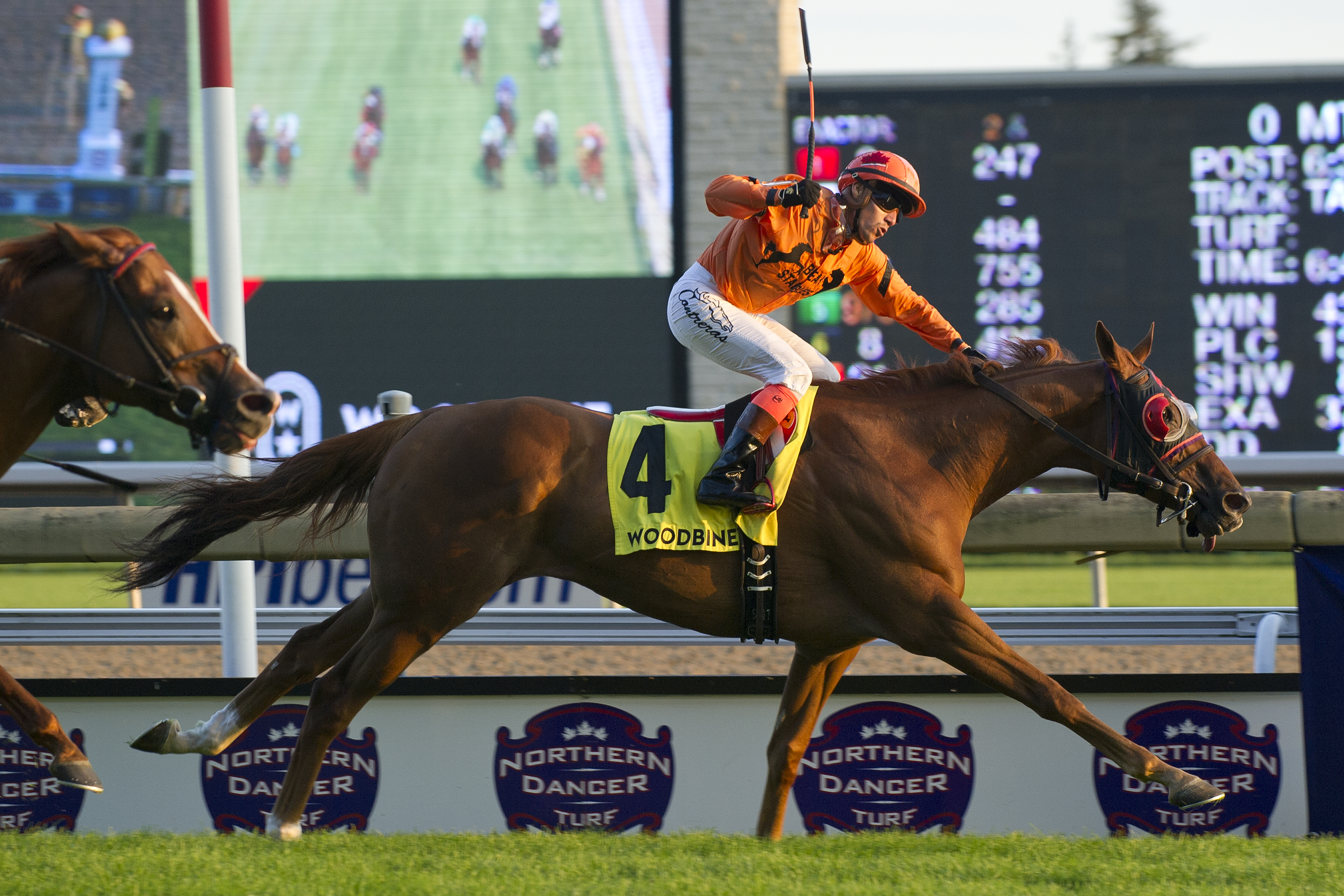 Johnny Bear wins the 2018 Northern Dancer Turf Stakes
