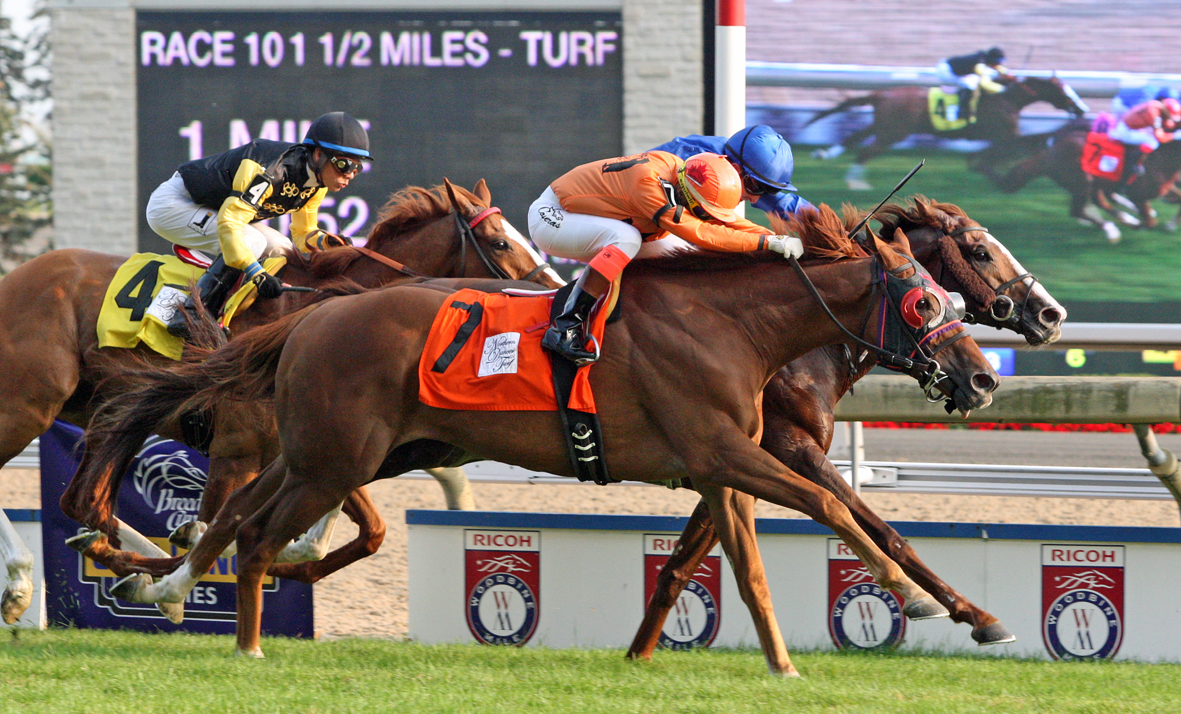 Johnny Bear (#7) wins the 2017 Northern Dancer Turf Stakes