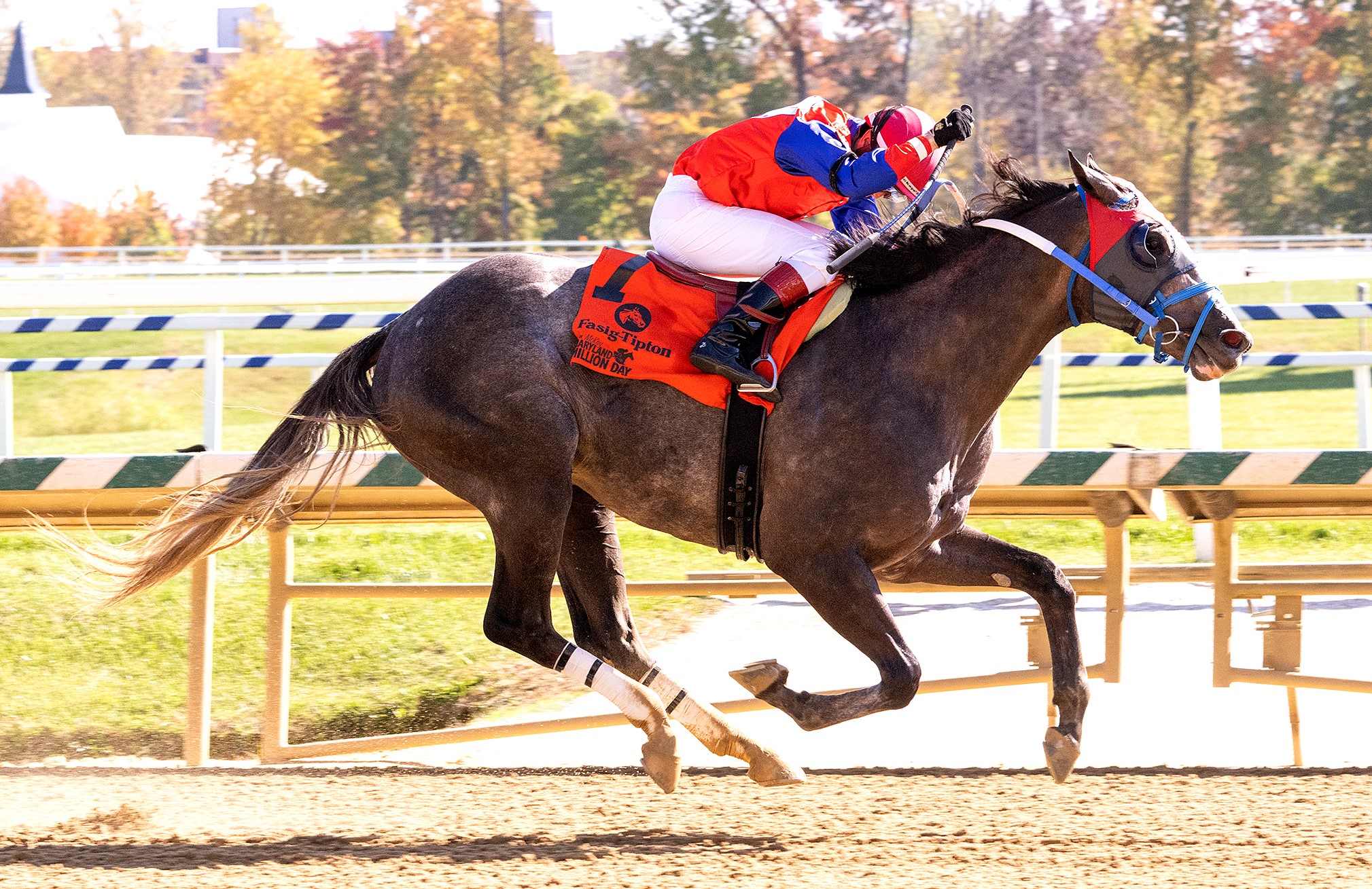 Johnyz From Albany wins Maryland Million Nursery at Laurel Oct 2 2022
