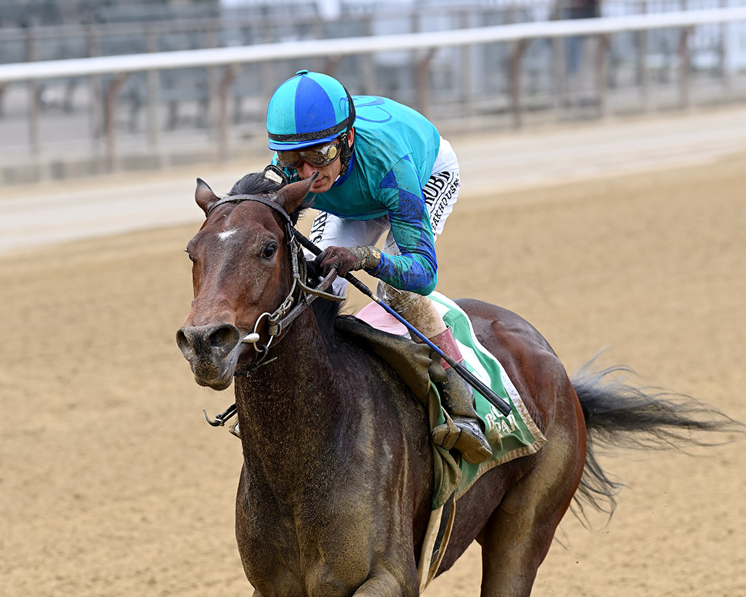 Join the Dots wins an Oct. 29 maiden race at Belmont Park