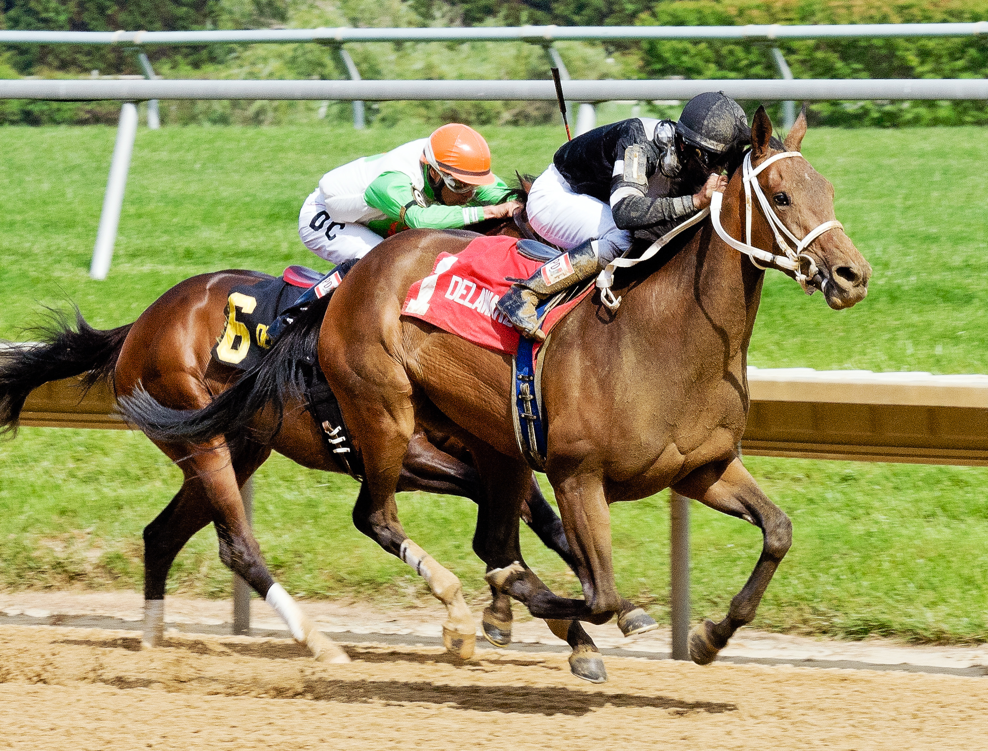 Joint Return wins the Our Mims Stakes