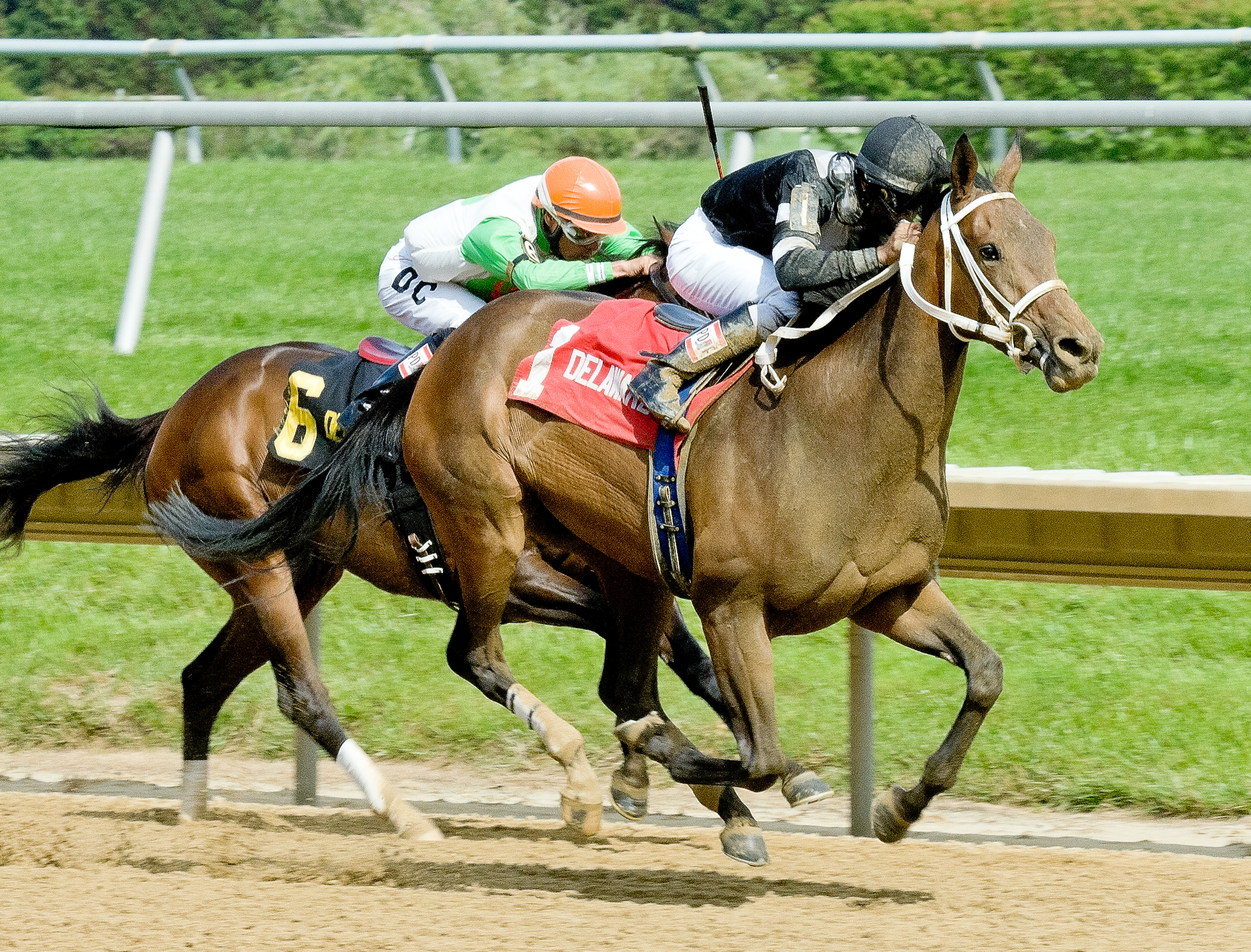 Joint Return wins the Our Mims Stakes
